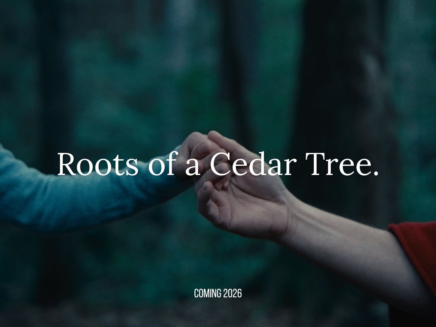 Roots of a Cedar Tree campaign photo, 4 of 5