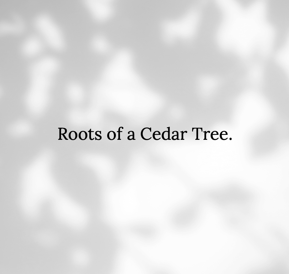Roots of a Cedar Tree campaign photo, 2 of 5