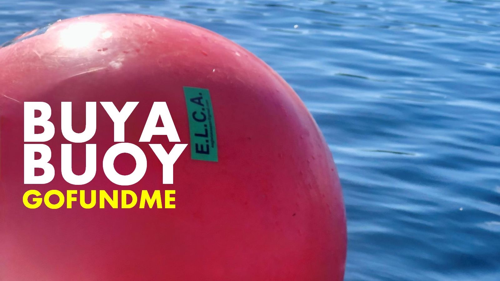 BUY A BUOY. Support Safe Boating on Eagle Lake. campaign photo, 2 of 4