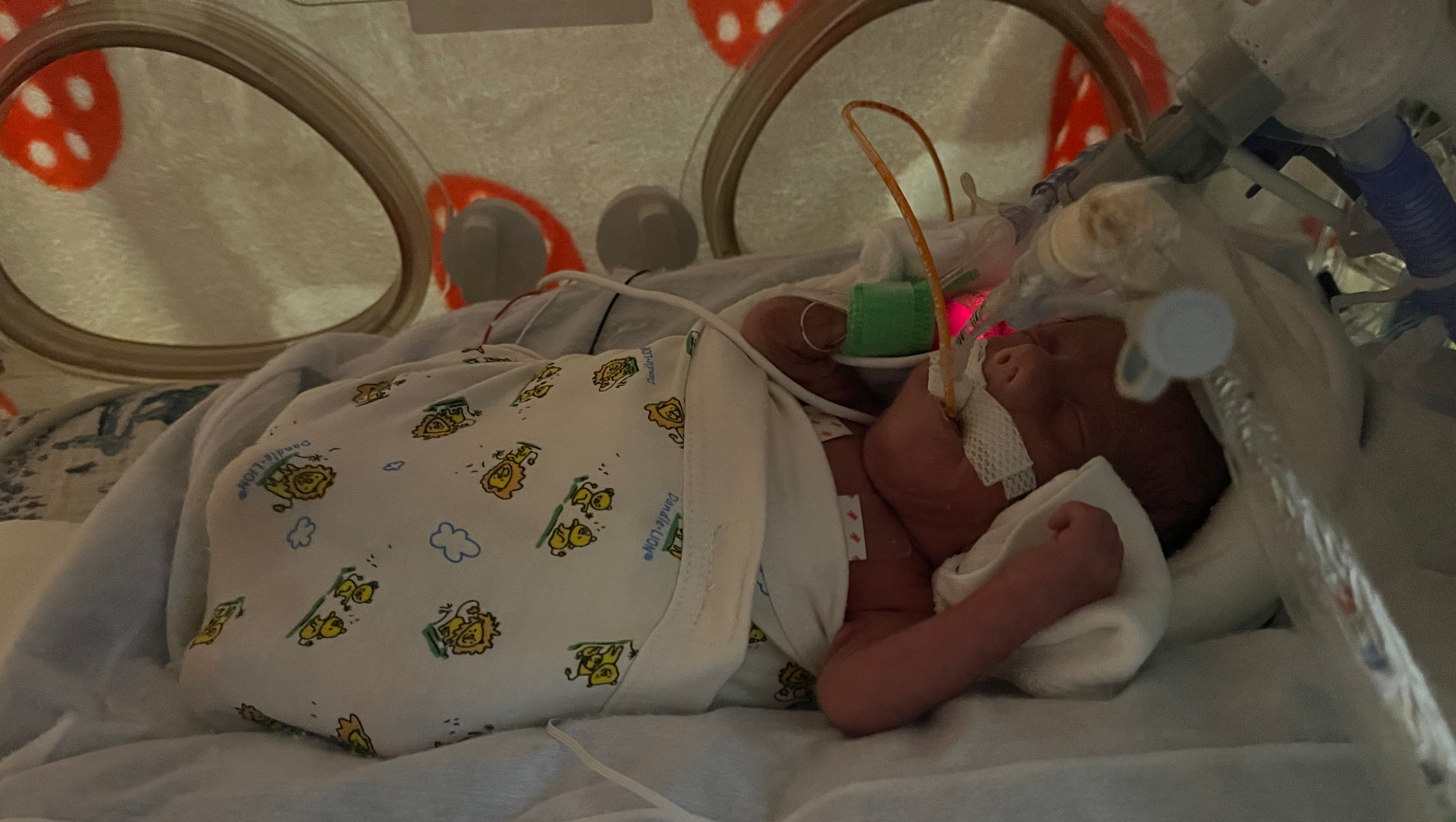 Fundraiser by Mattie Davis : Support Mighty Malachi's NICU Journey
