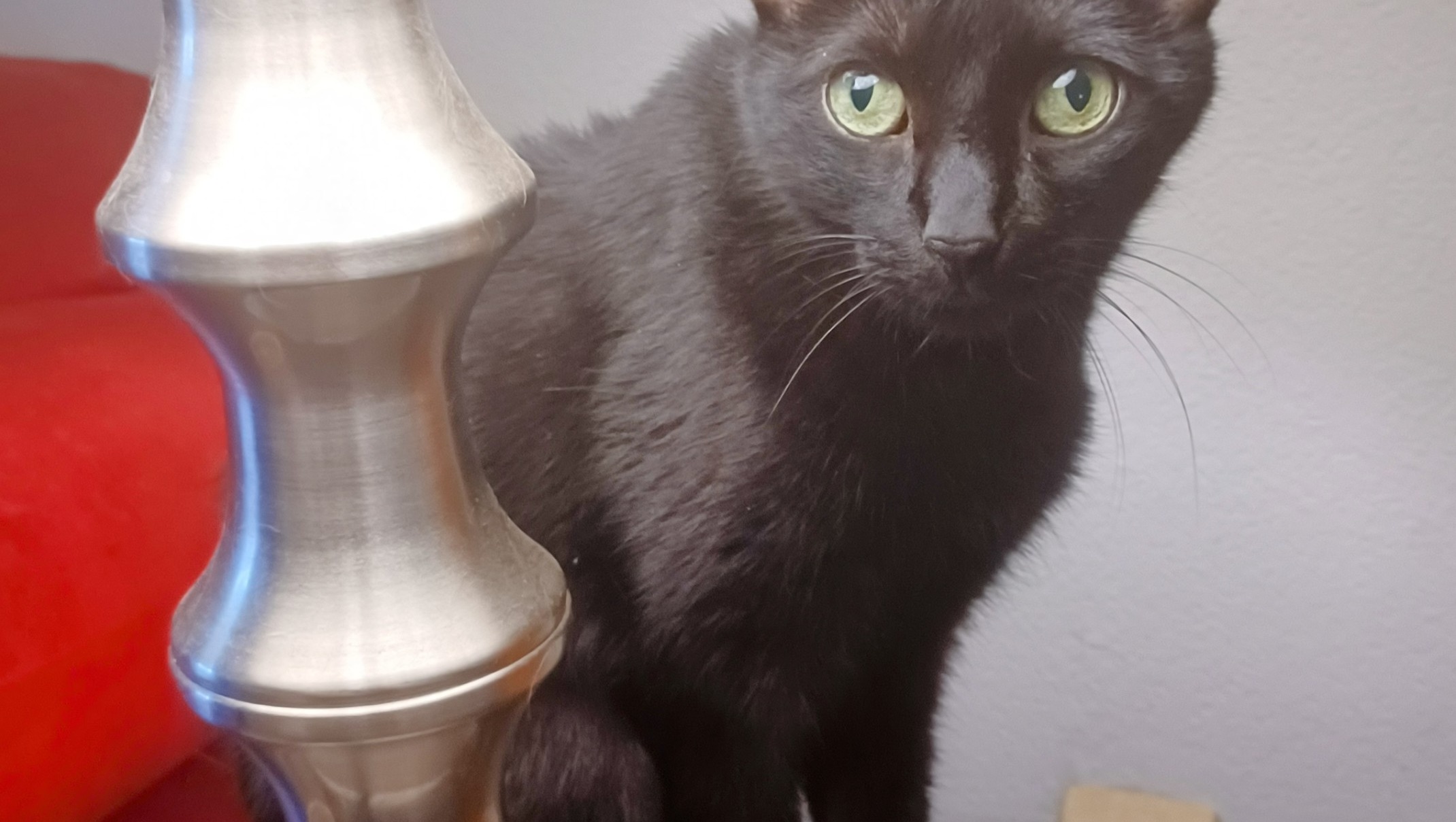 Help Us Give Valerie Perrine the Farewell She Deserves - GoFundMe - Gofundme Donation Page Setup For Funeral Expenses