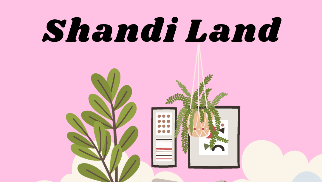 ANTM: Shandi’s GoFundMe | Lipstick Alley