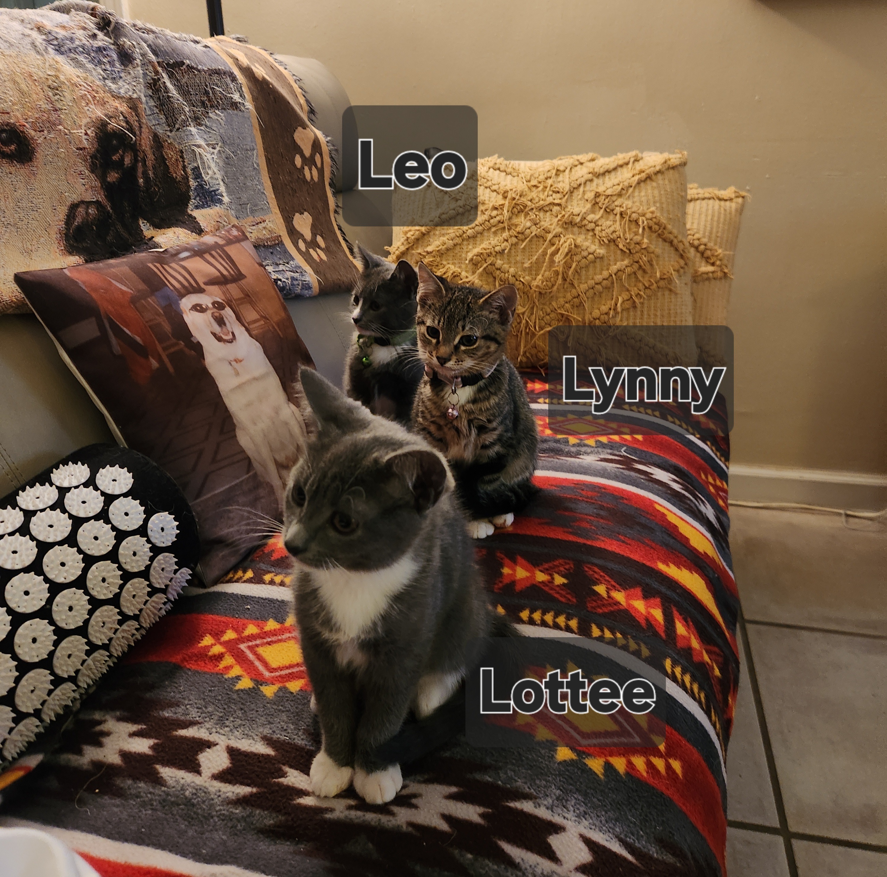 Please help to keep us in our home campaign photo, 4 of 5