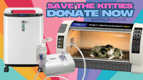 Fundraiser by April Moore : Support April's Lifesaving Kitten ICU