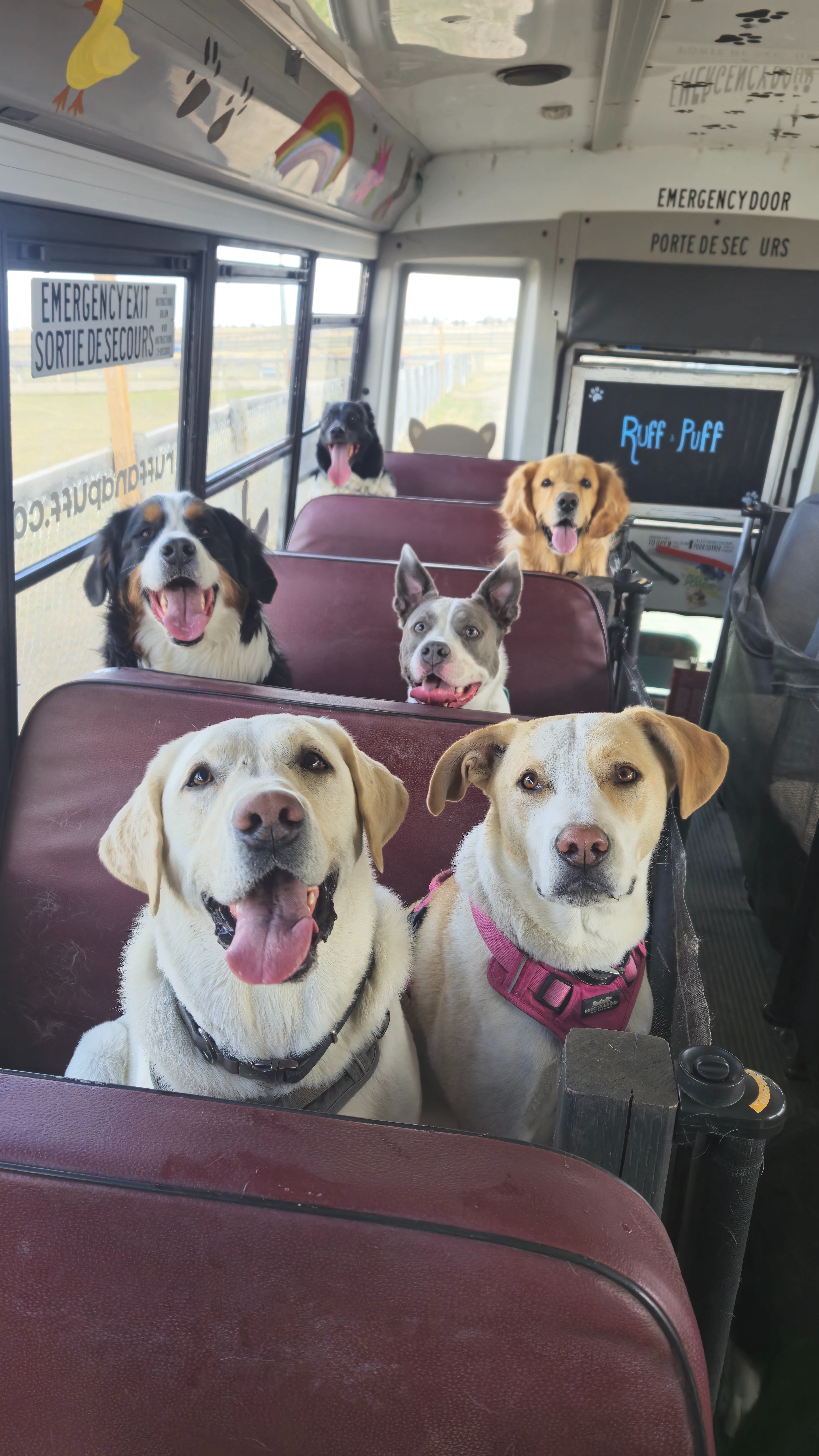 Fundraiser by Denzel Morrison : Ruff and Puffs new bus and park!