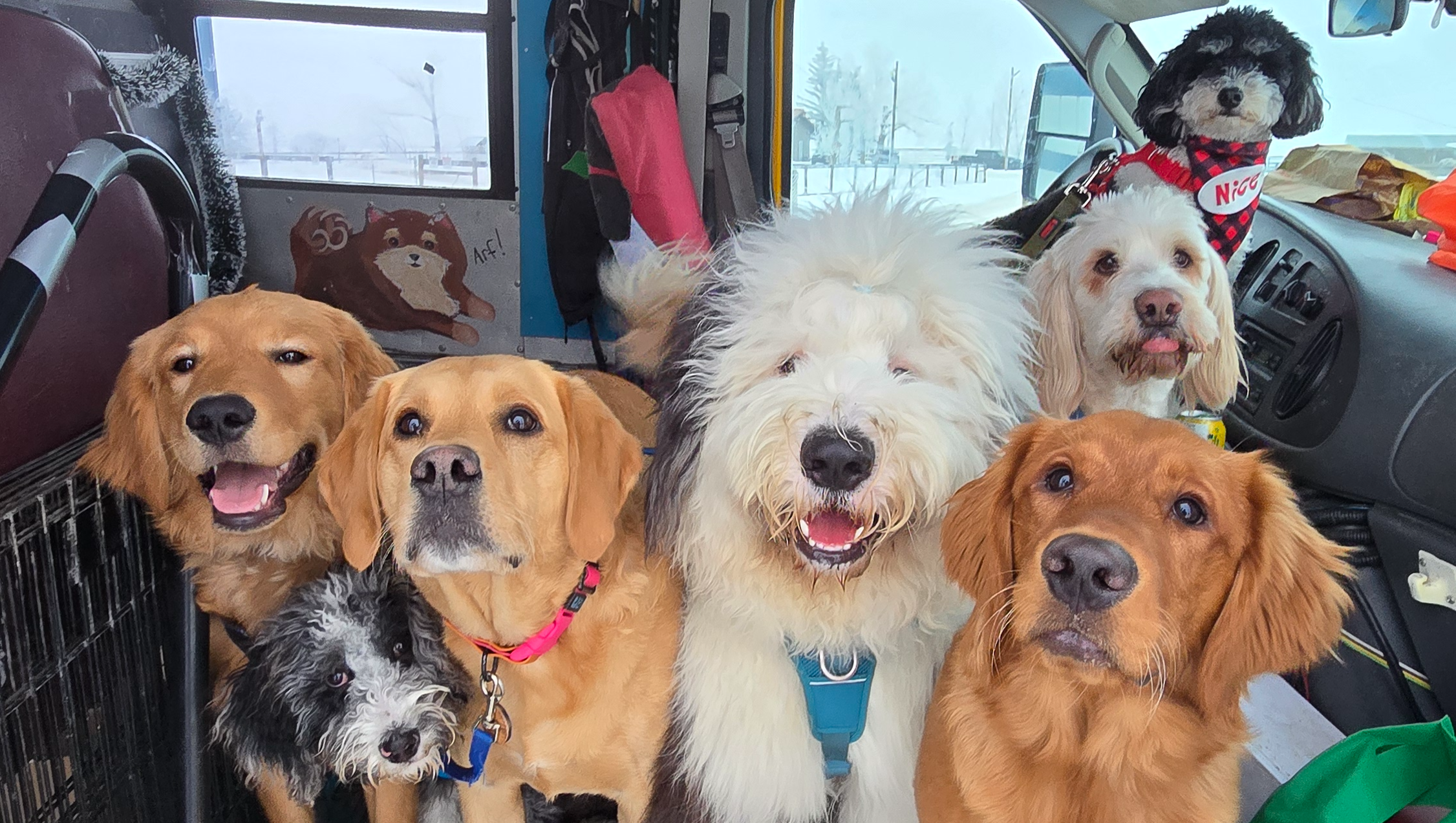 Fundraiser by Denzel Morrison : Ruff and Puffs new bus and park!