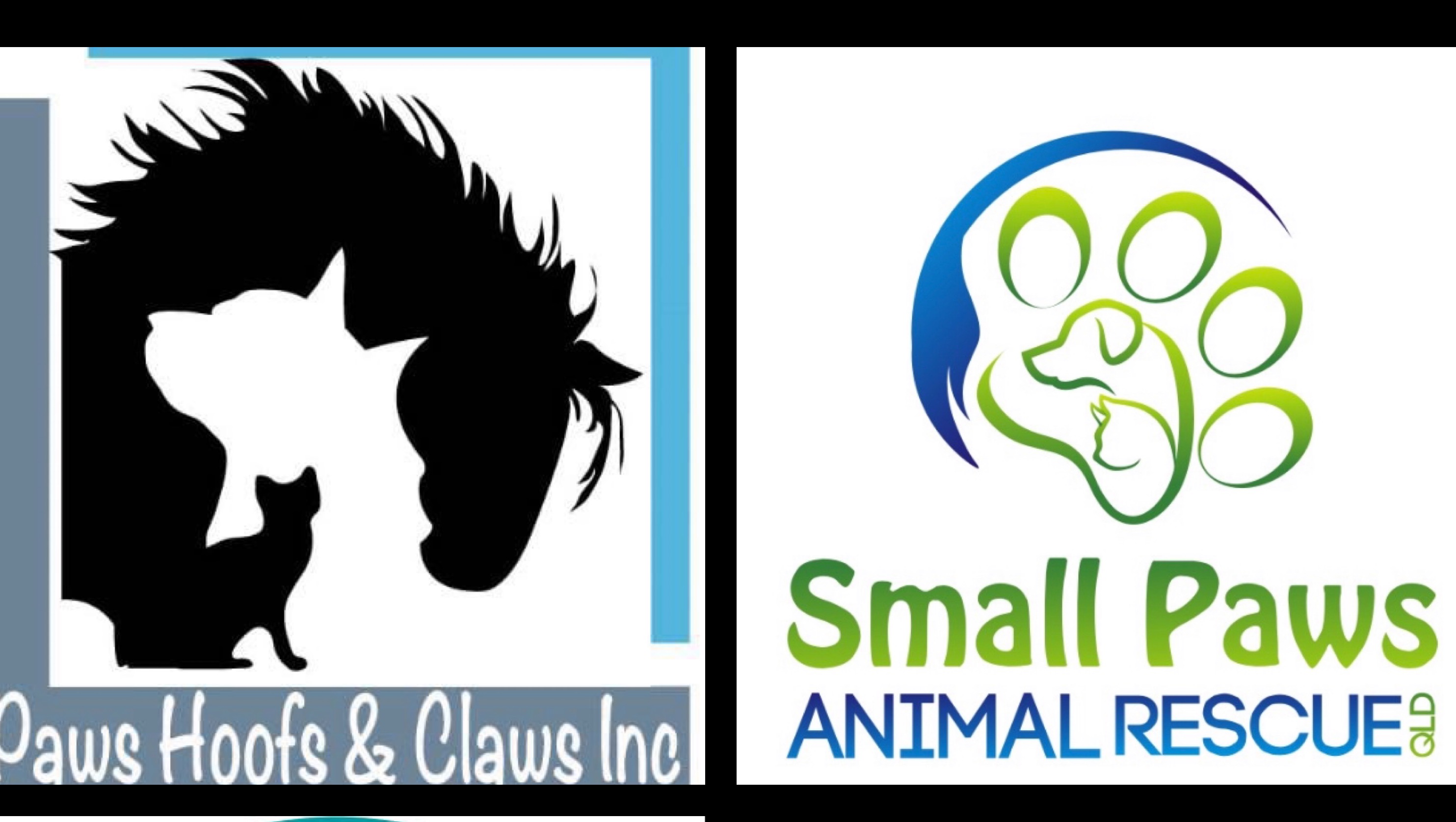 Image showcasing Fundraiser by Small Paws Animal Rescue QLD : Parvo is a silent killer ...