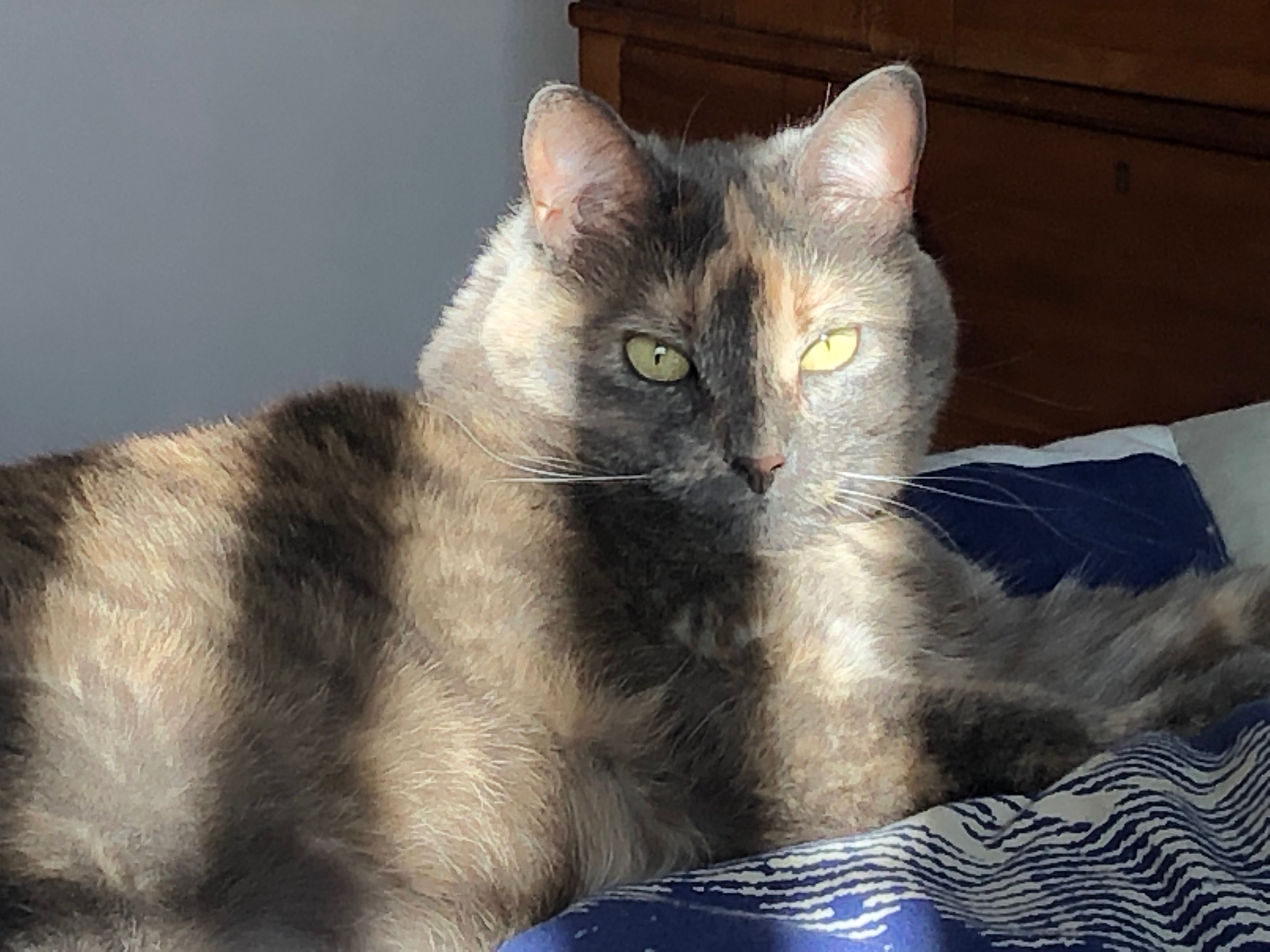 User-uploaded image 1