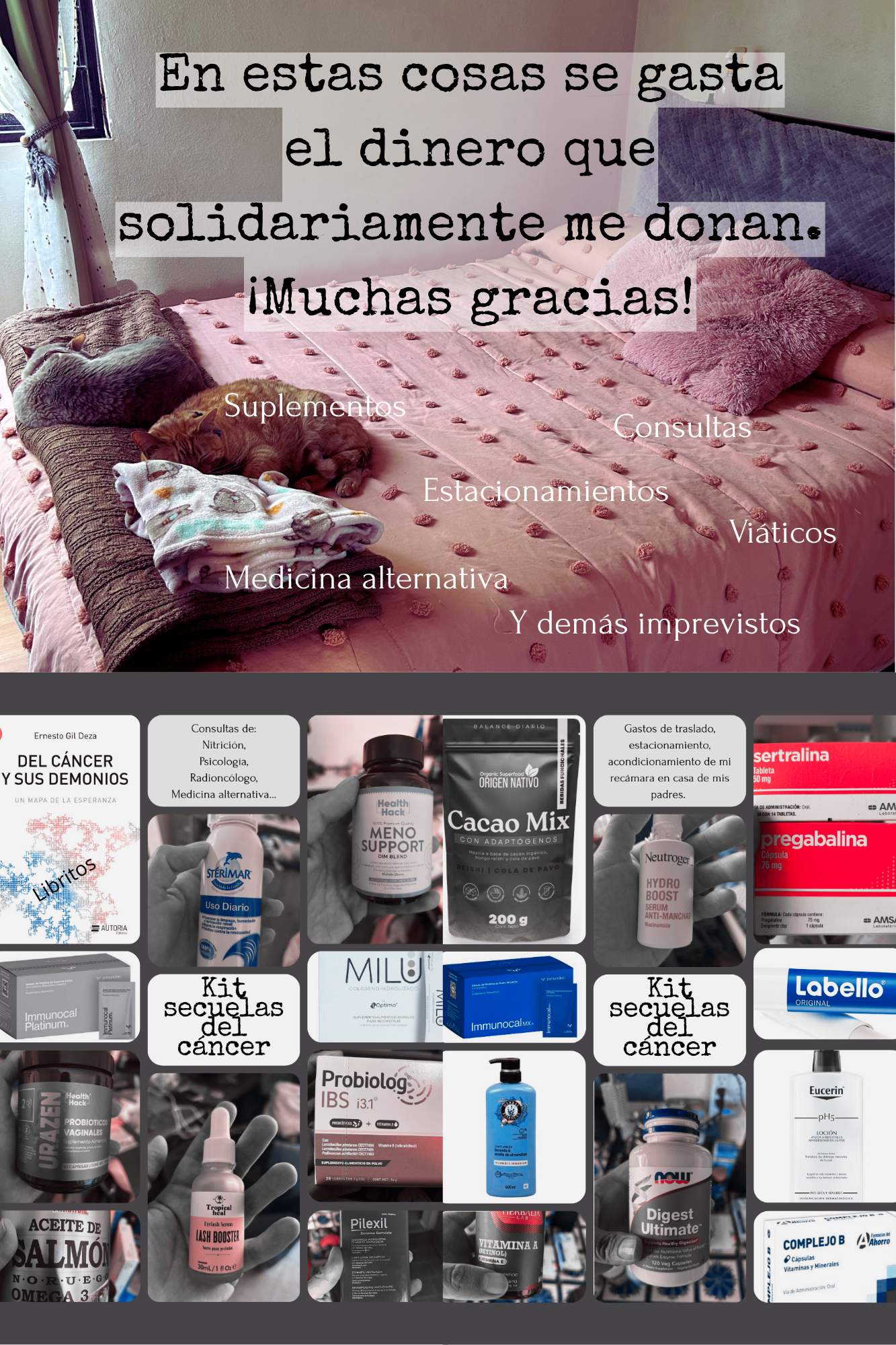 User-uploaded image 2