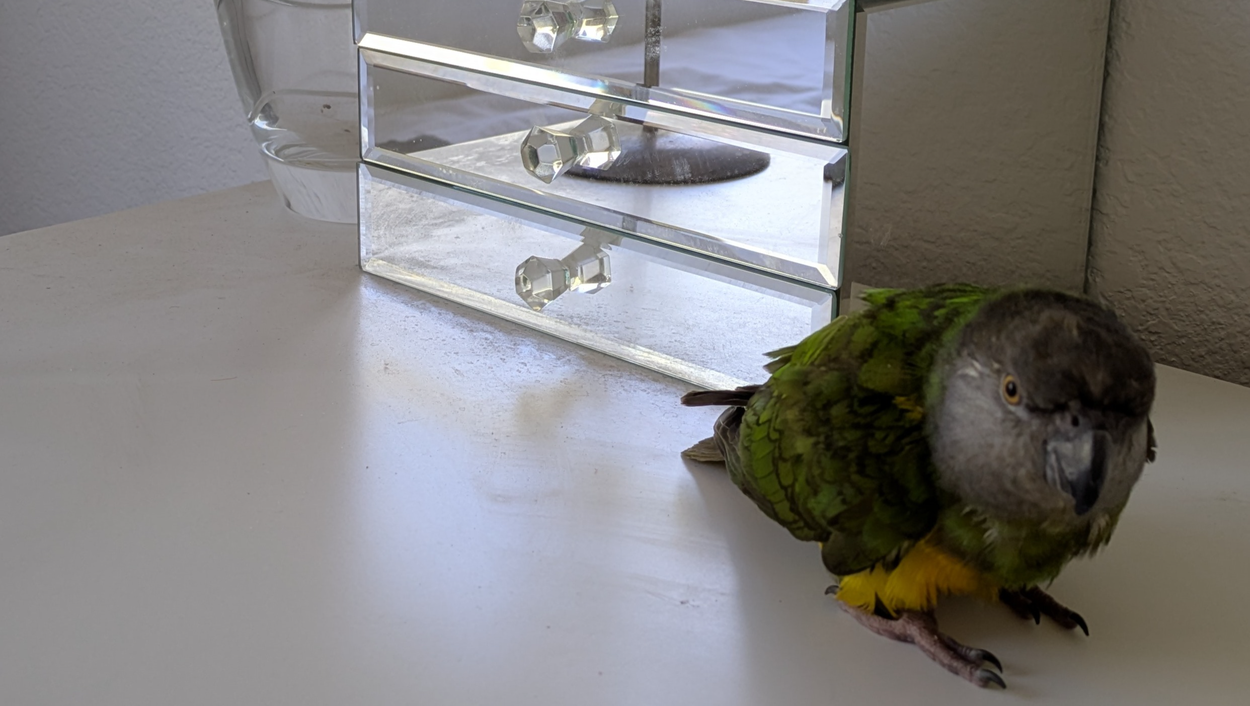 Support Mazi's Life-Saving Surgery photo