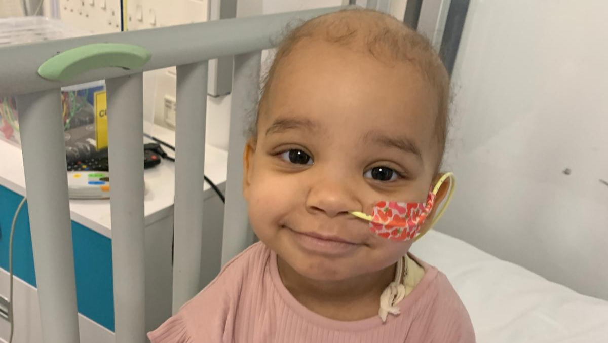 Help Frankie fight Cancer & for treatment in the Netherlands photo