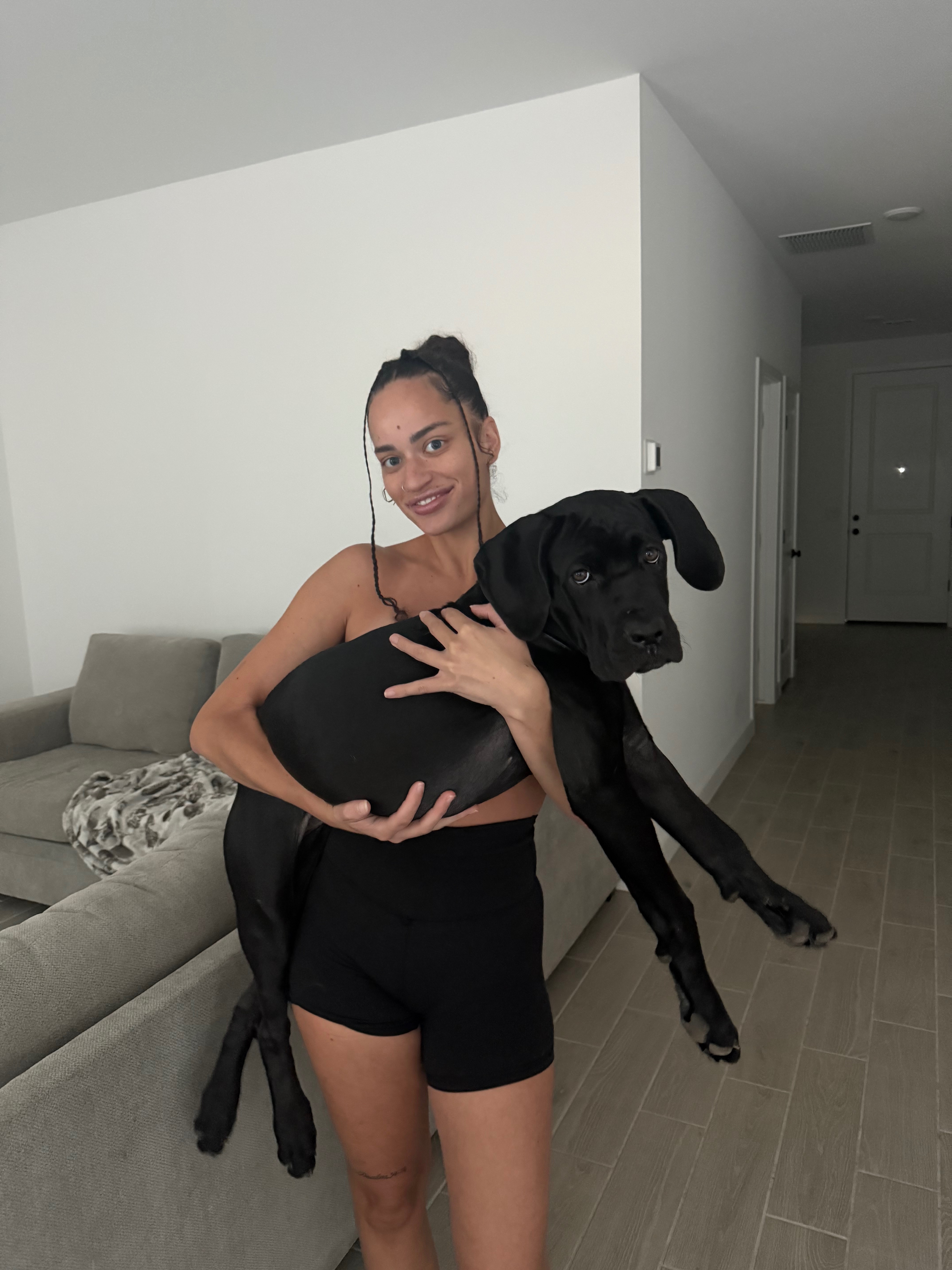 Support Cleo's Battle Against Parvo campaign photo, 4 of 7