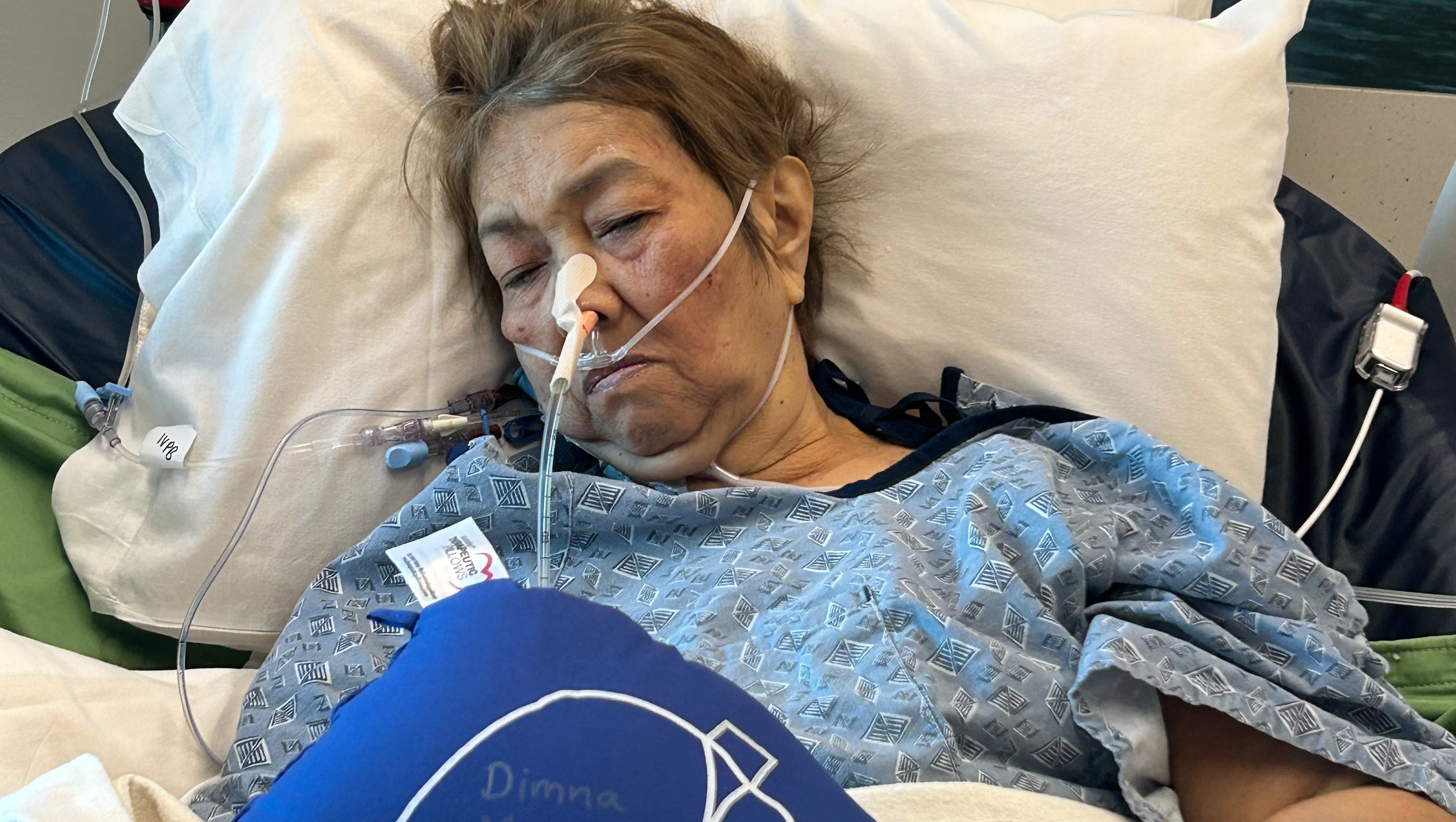 Help Dimna Mateo's Liver Transplant Recovery photo