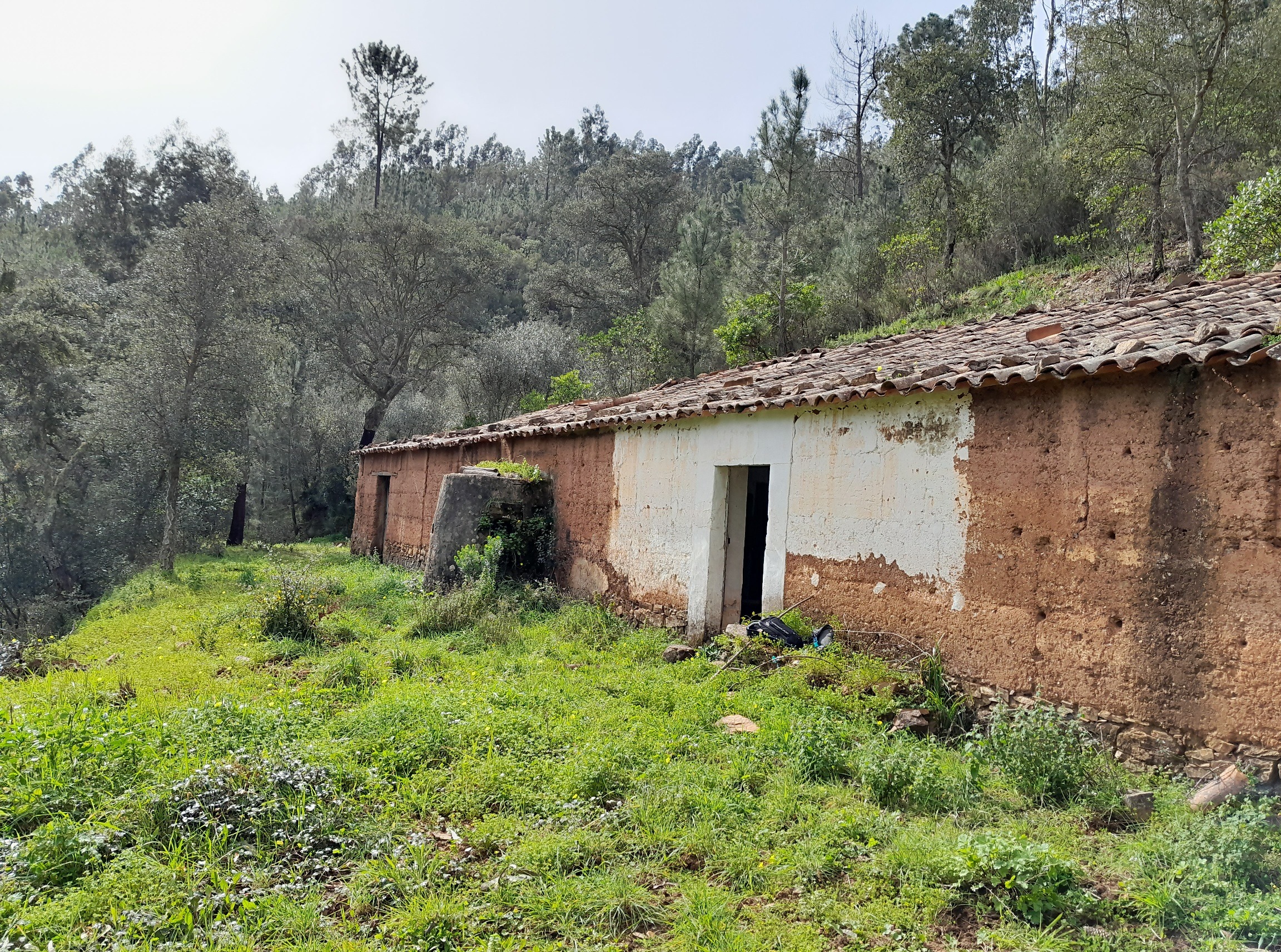 User-uploaded image 1