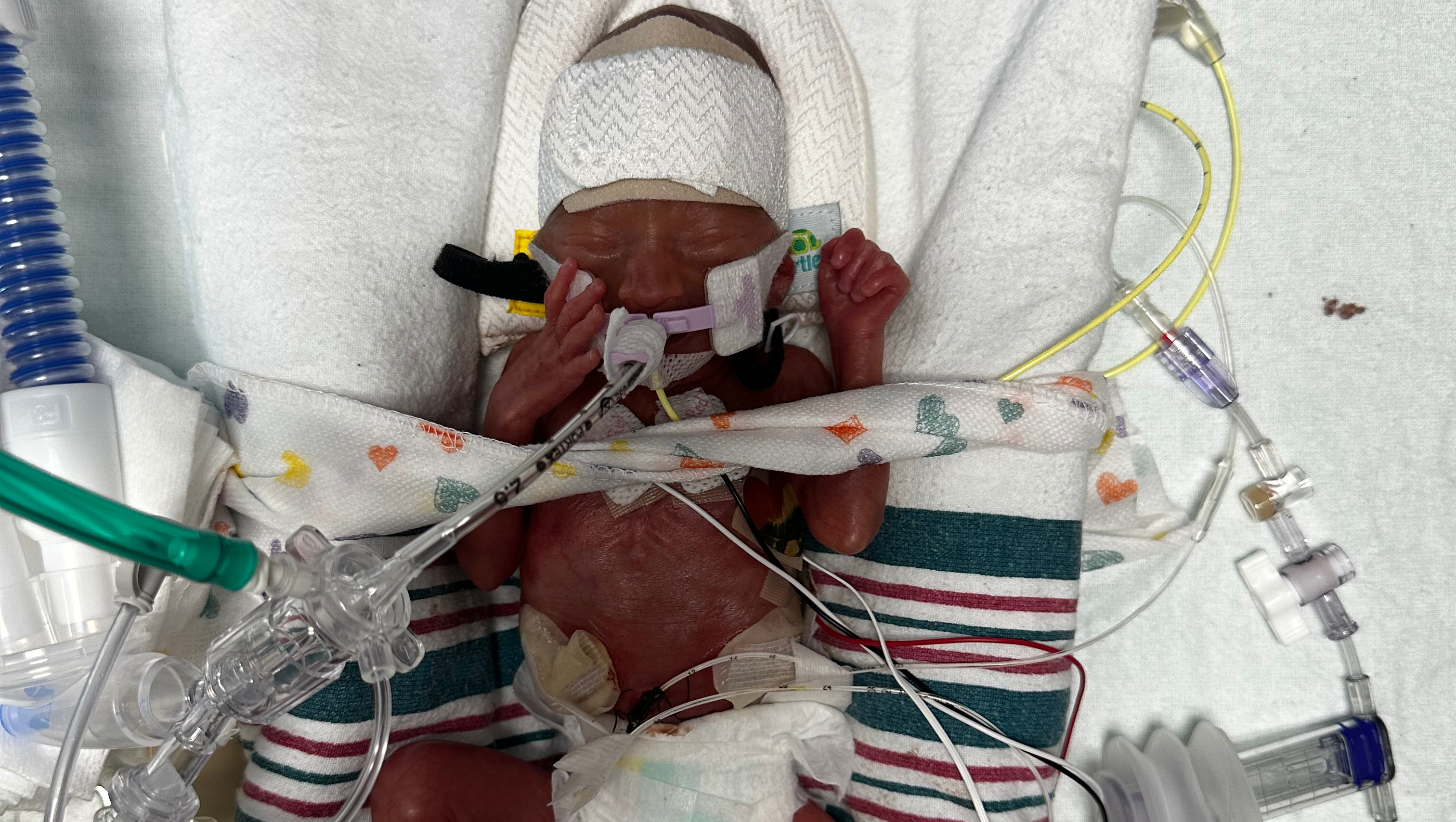 Fundraiser by Austin Conrad : Donate to Baby Matthew's NICU Fight