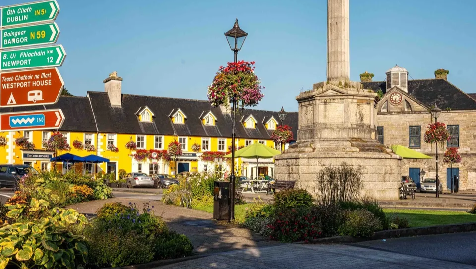 Send some love back to Westport Tidy Towns with a donation photo