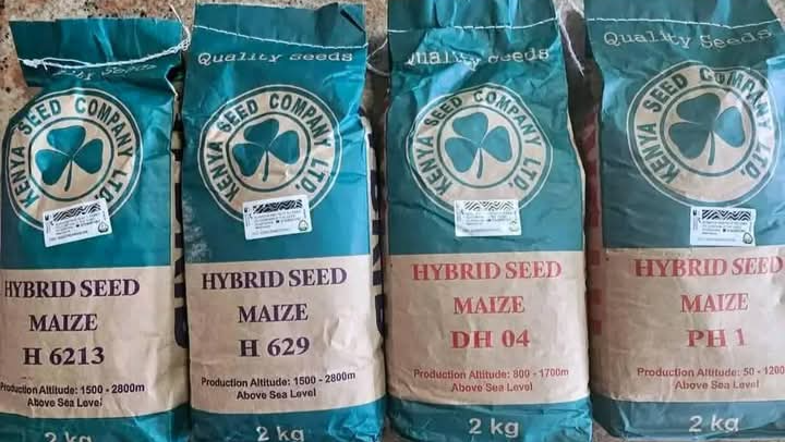 Emergency Seed Fundraiser: 100 African Communities Need Your photo