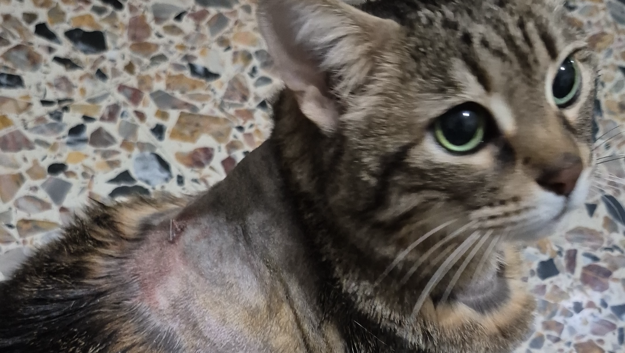 Aiutiamo Maddy❤️ photo