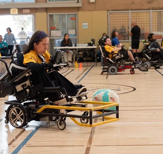 User-uploaded image 2