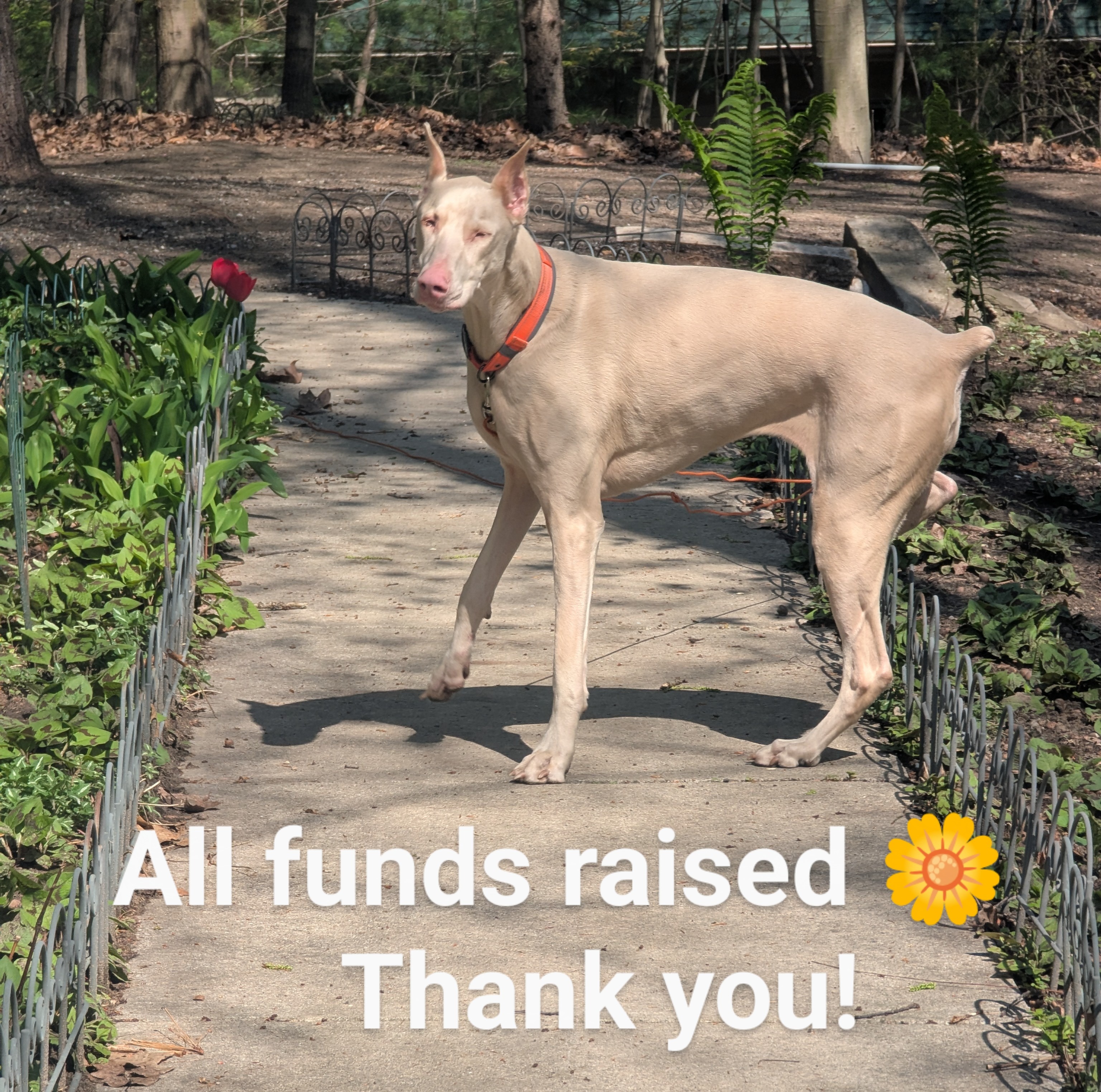 User-uploaded image 3