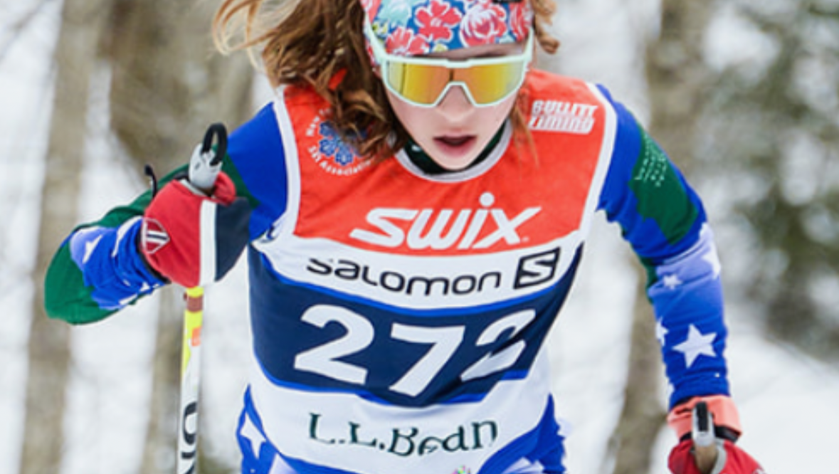 Sierra's fight pinned link photo