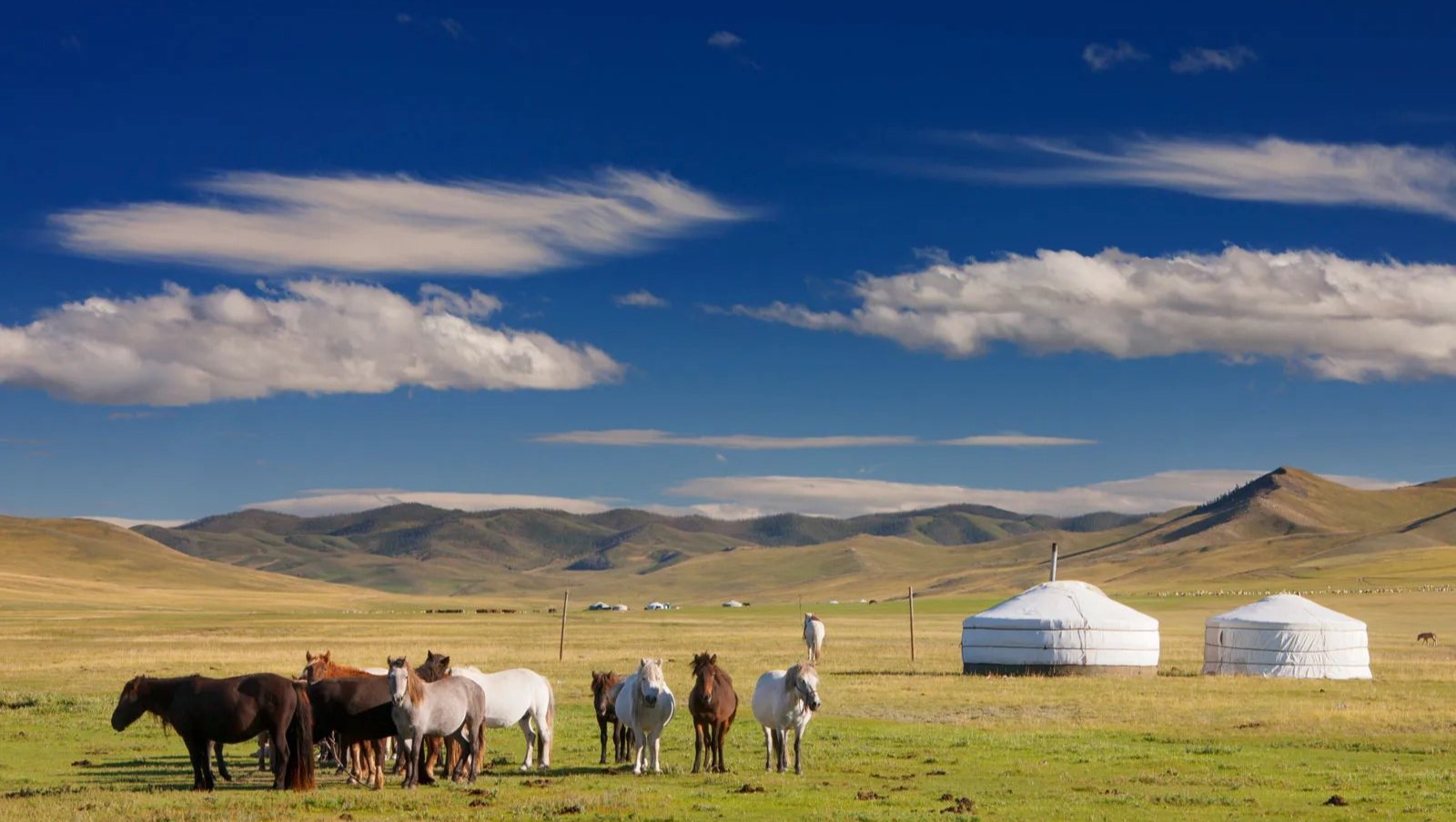Community Development Project, Mongolia 2025 (Playground) photo