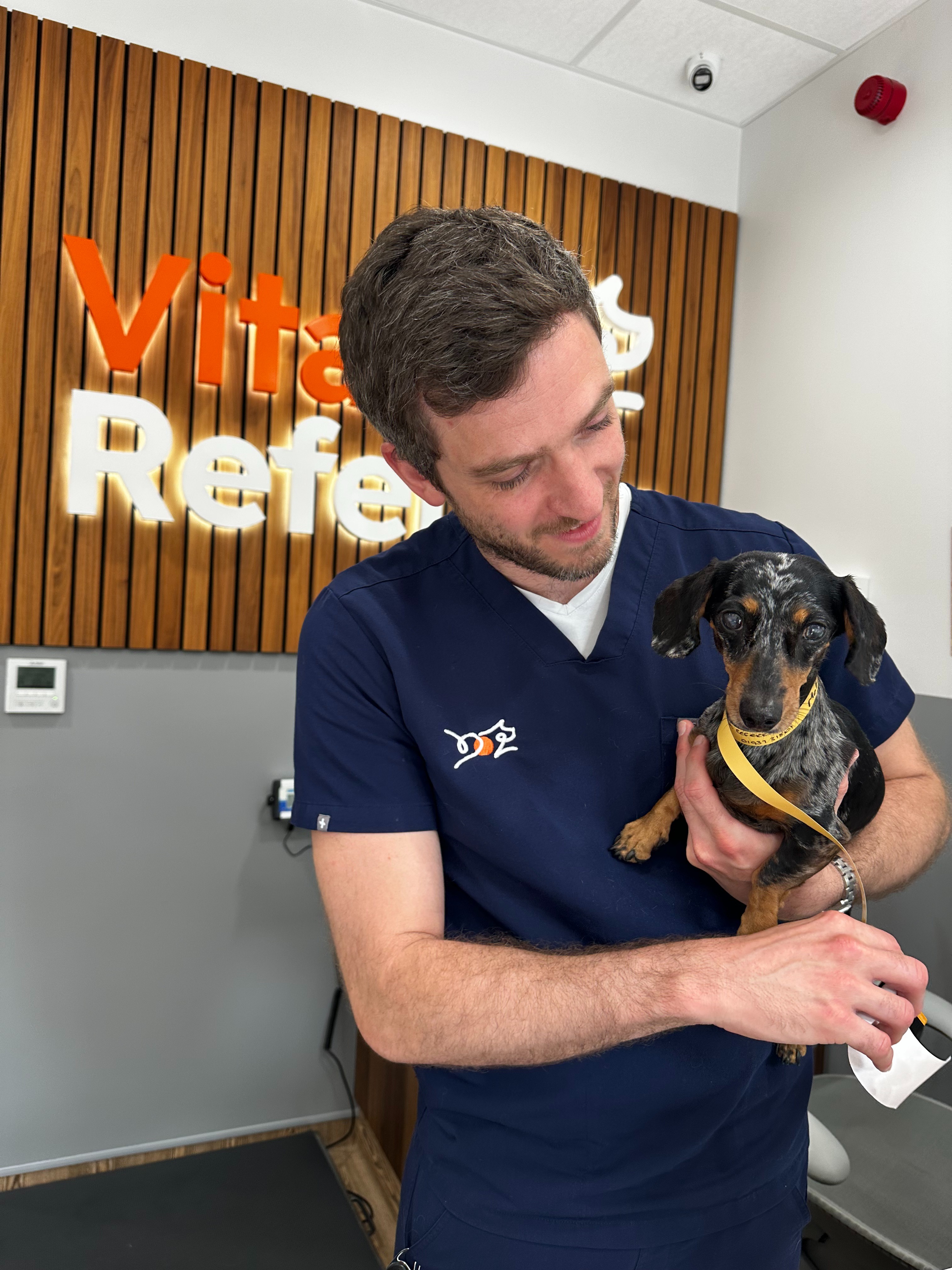 Help little Mabel with her IVDD medical costs campaign photo, 6 of 7