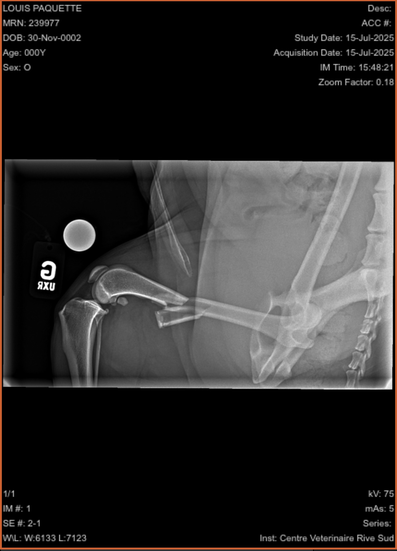 URGENT – PLEASE HELP US SAVE LOUIS campaign photo, 2 of 7