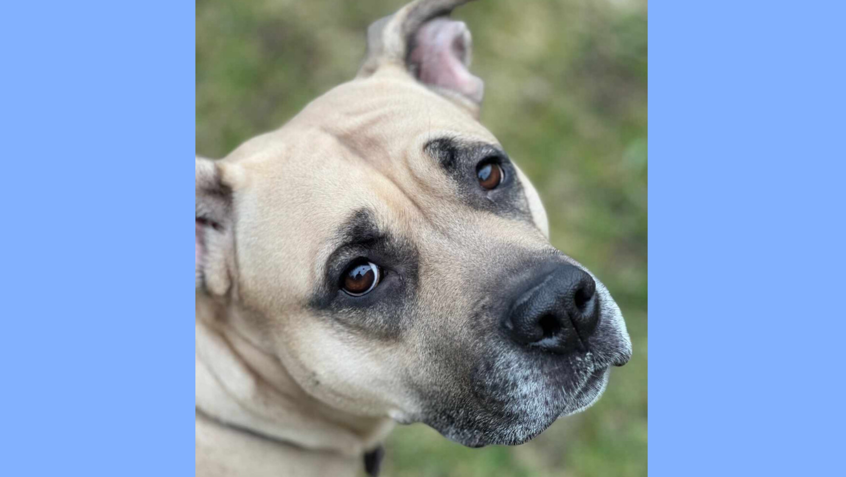 Help Leya get the surgery she needs! photo
