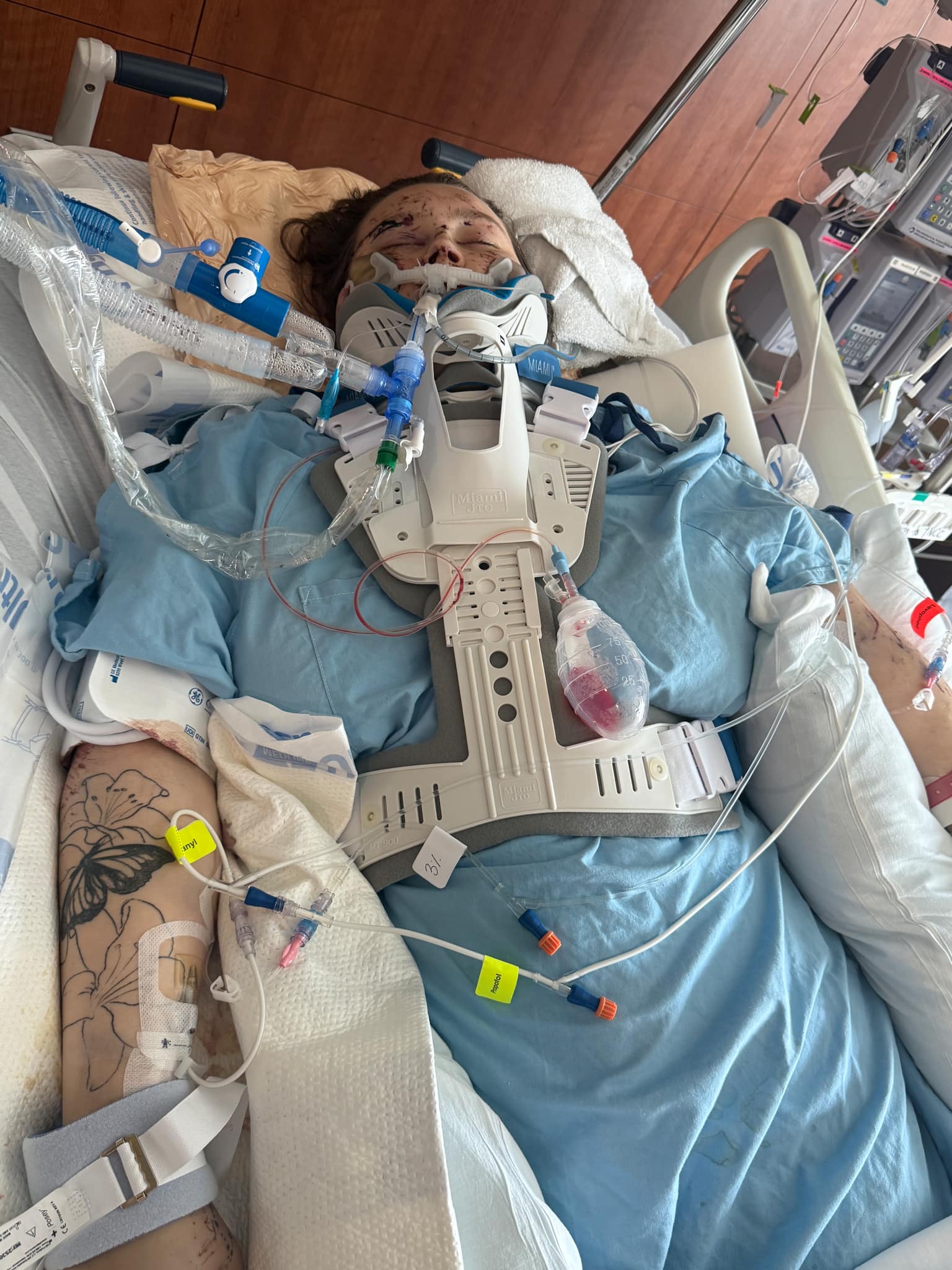 User-uploaded image 1