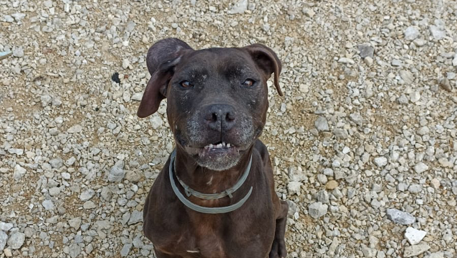 Anziana, malata e abbandonata: Cuba merita di essere salvata photo