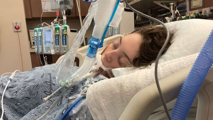 Support Sophia Get a Heart Transplant pinned link photo