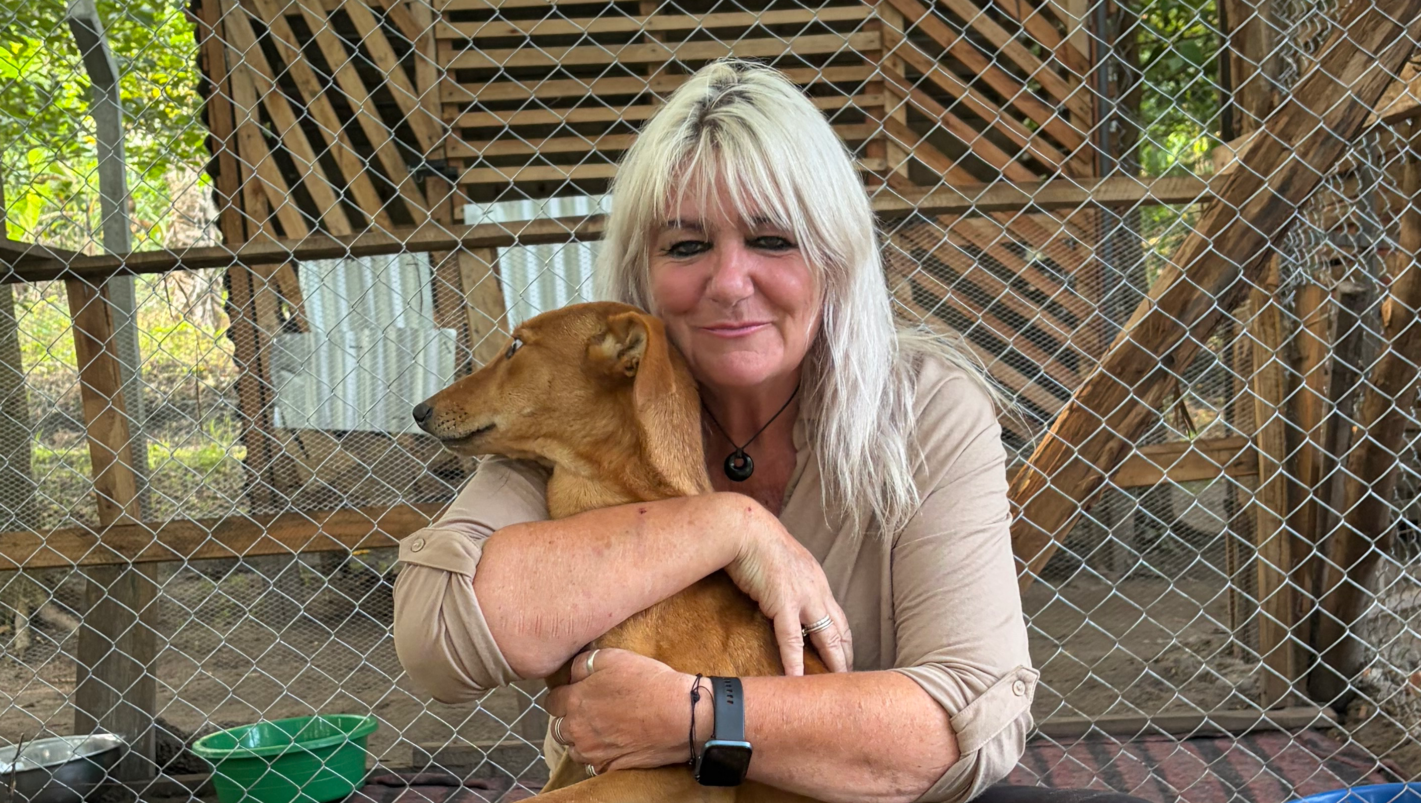 A New start for stray animals @ angels safe haven 1111 photo