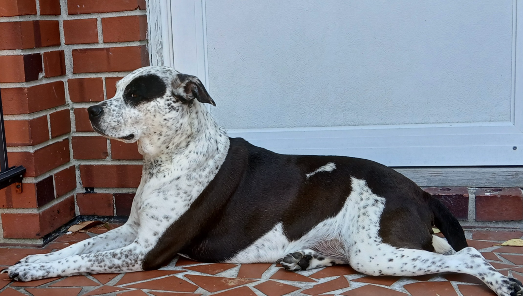 Save Storm: Urgent Medical Help Needed photo