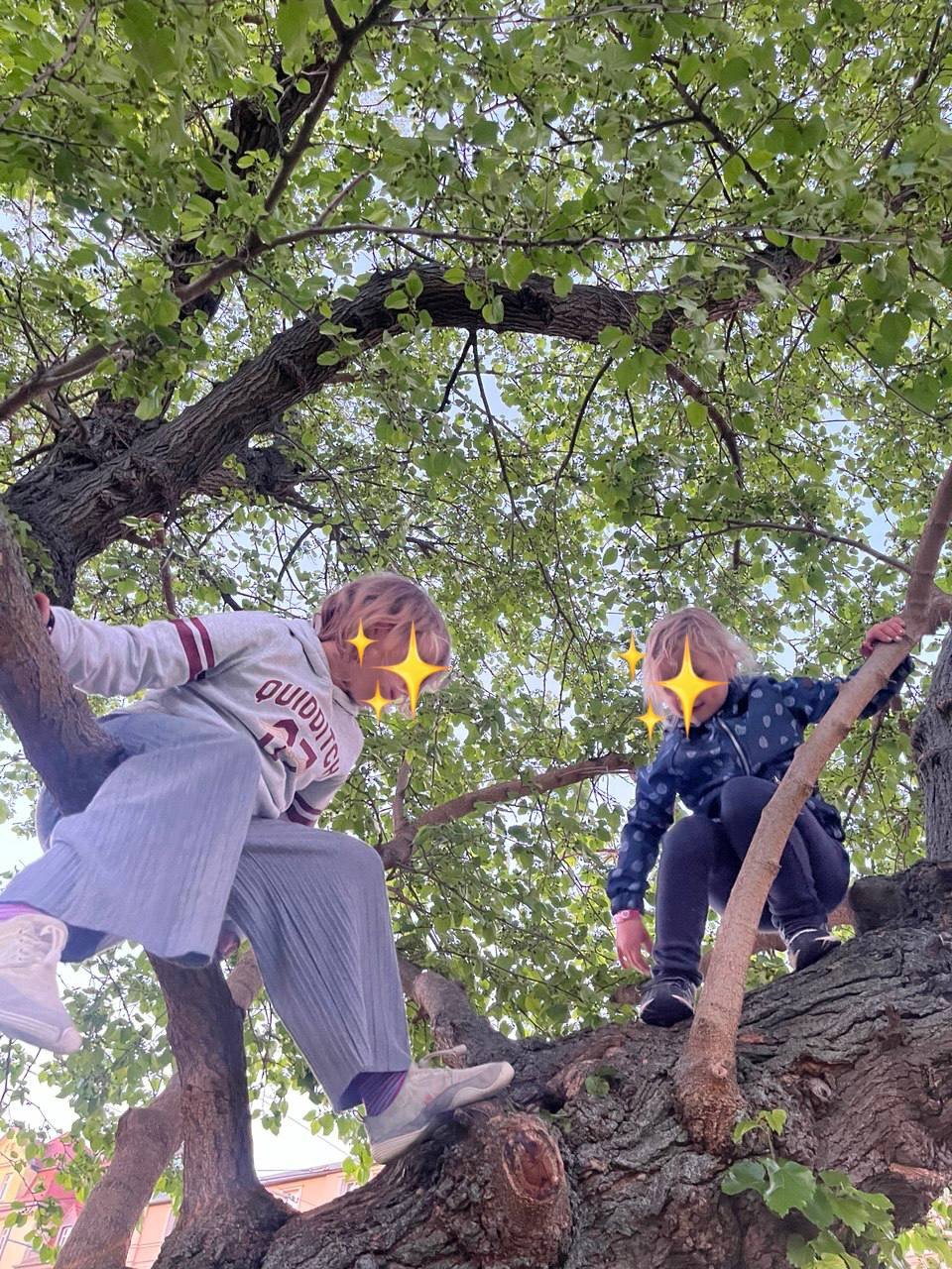 Kampagnen-Foto für Abschluss und Existenz in Gefahr - Support für Emma & Kinder, 4 von 6