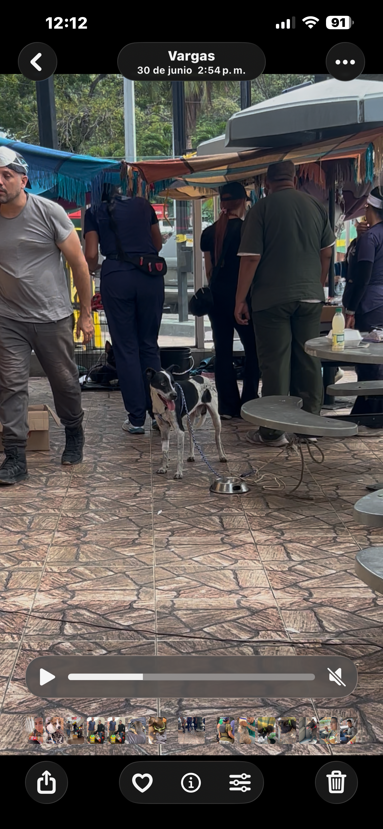 Earthquake Relief: Fix Our Shelter to Save La Guaira Dogs⁠ campaign photo, 2 of 8