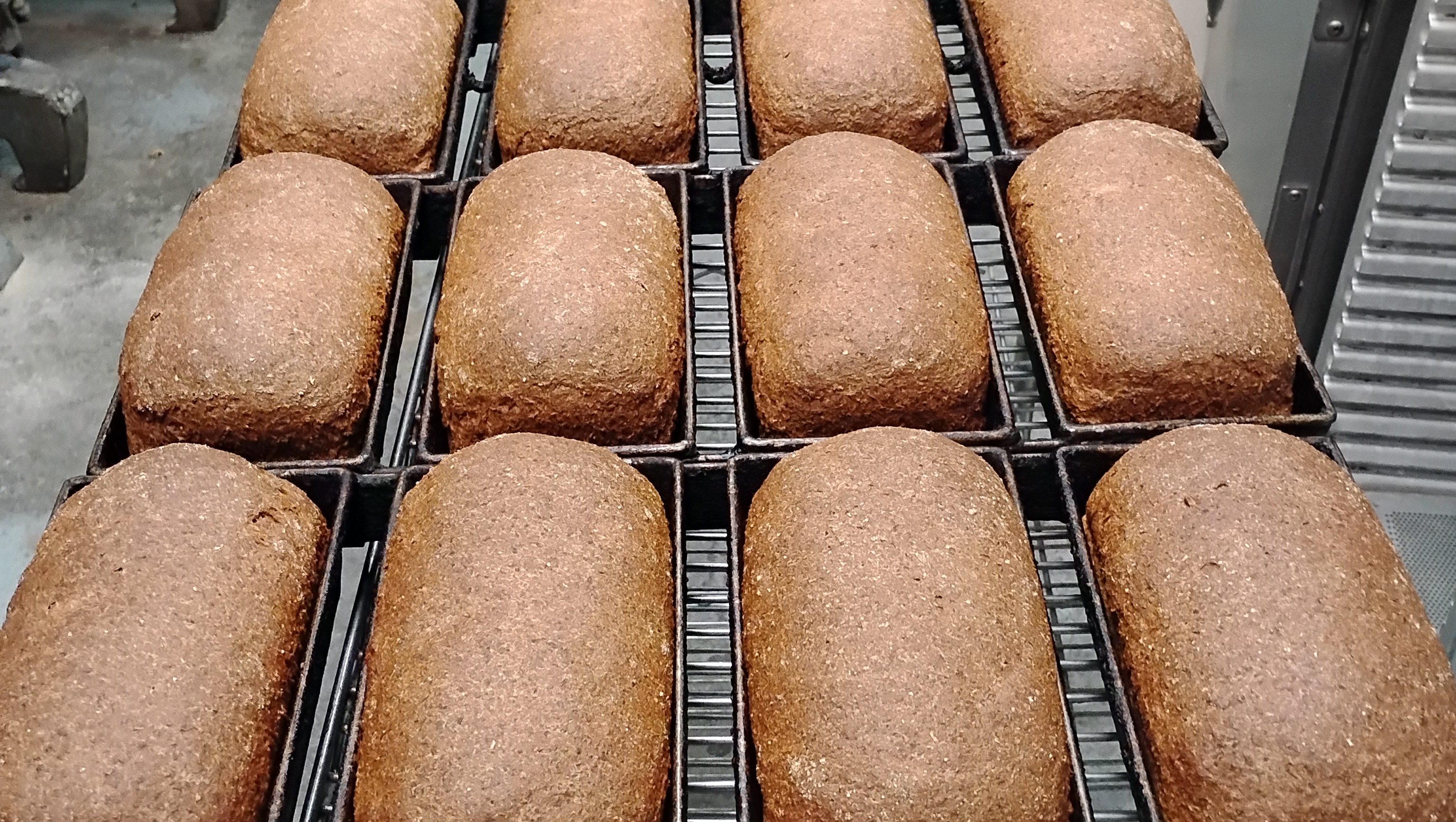 Support a 69 yr baker who broke his hip and cannot work photo