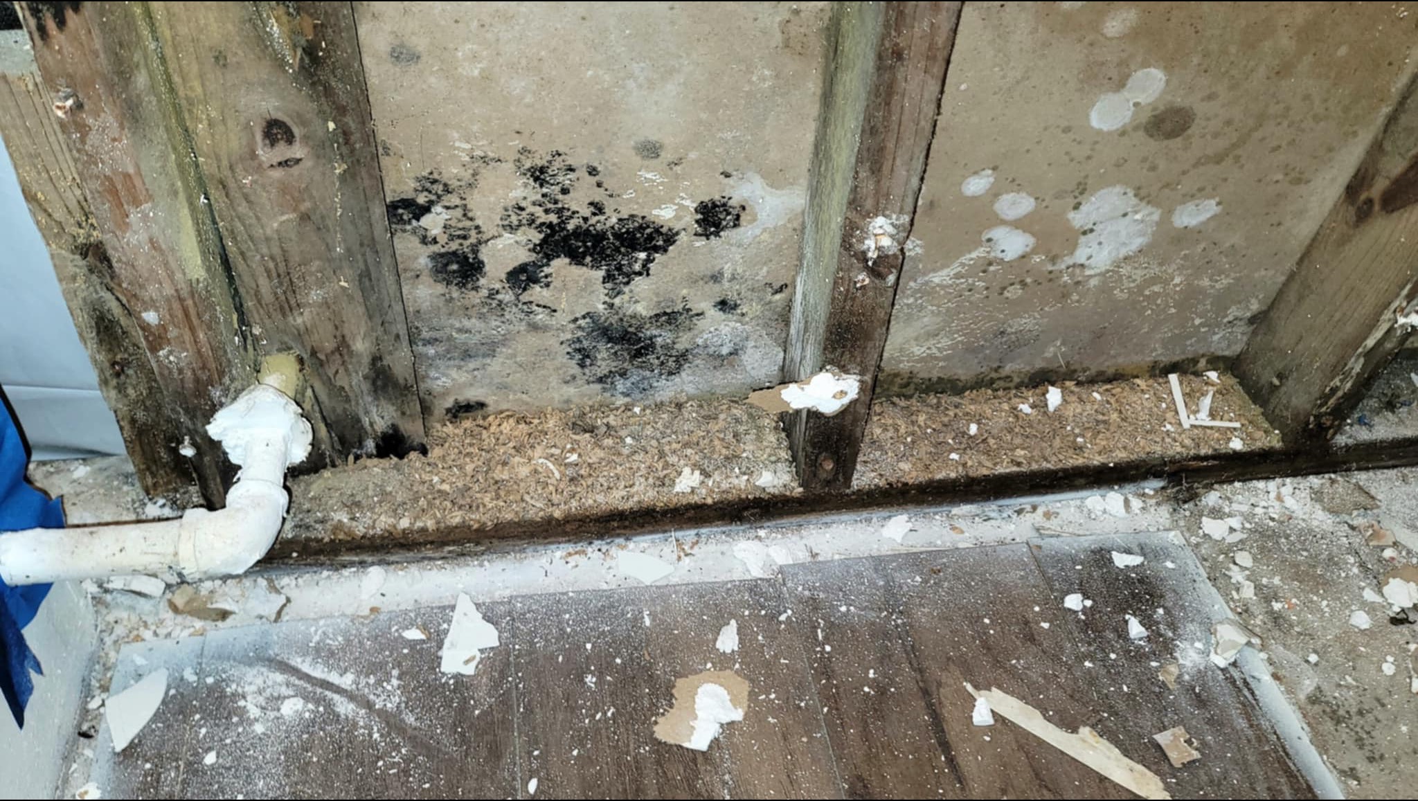 Black mold removed, treated, and now ready to be replaced. photo