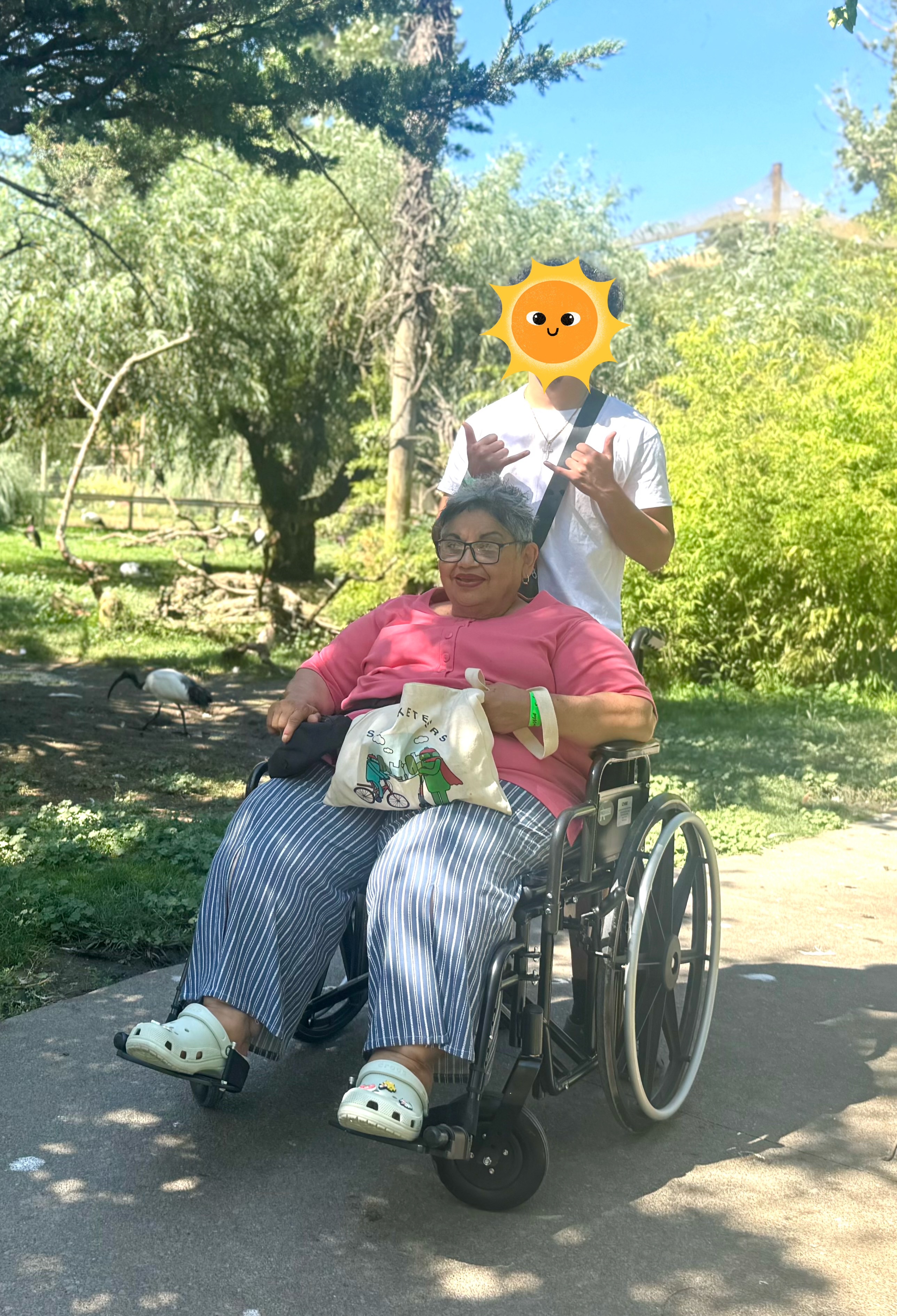 Help a Hardworking Elderly Momma Stay Safe at Home campaign photo, 4 of 8