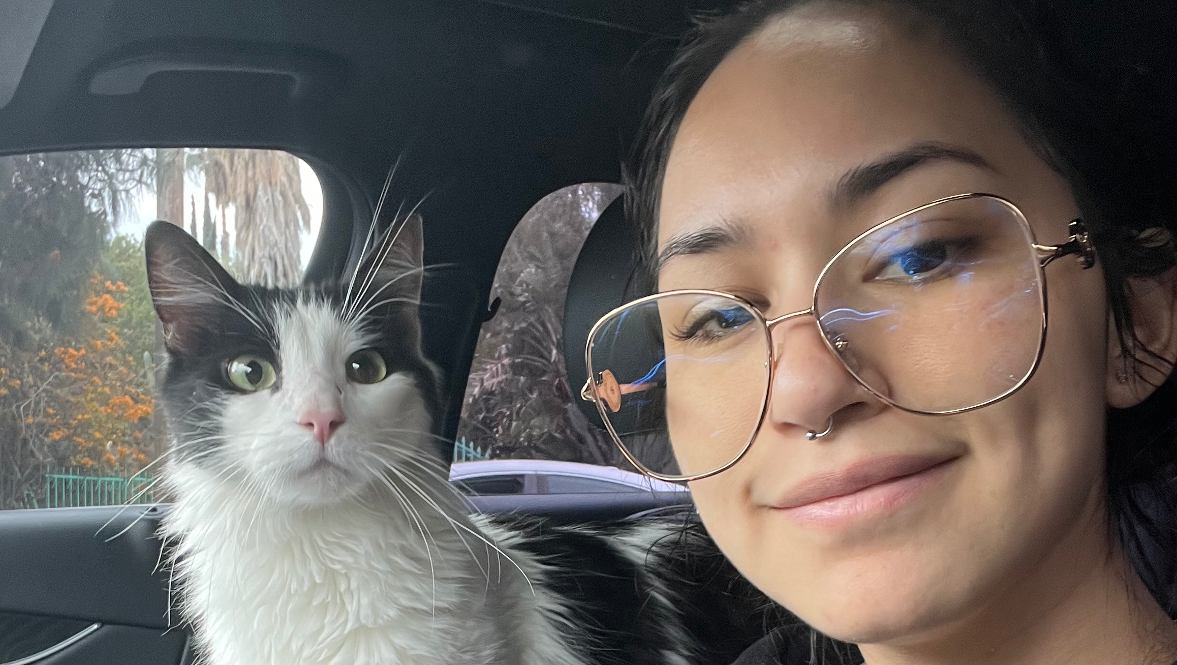 Surgery For Koa: Please, help me save his life photo