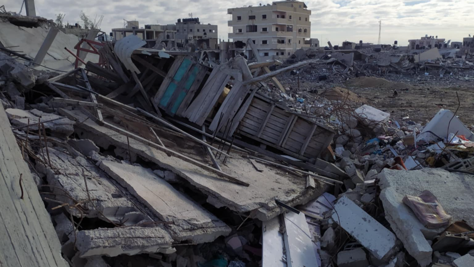 #Gaza_Save my family who fled the war to build a new life photo