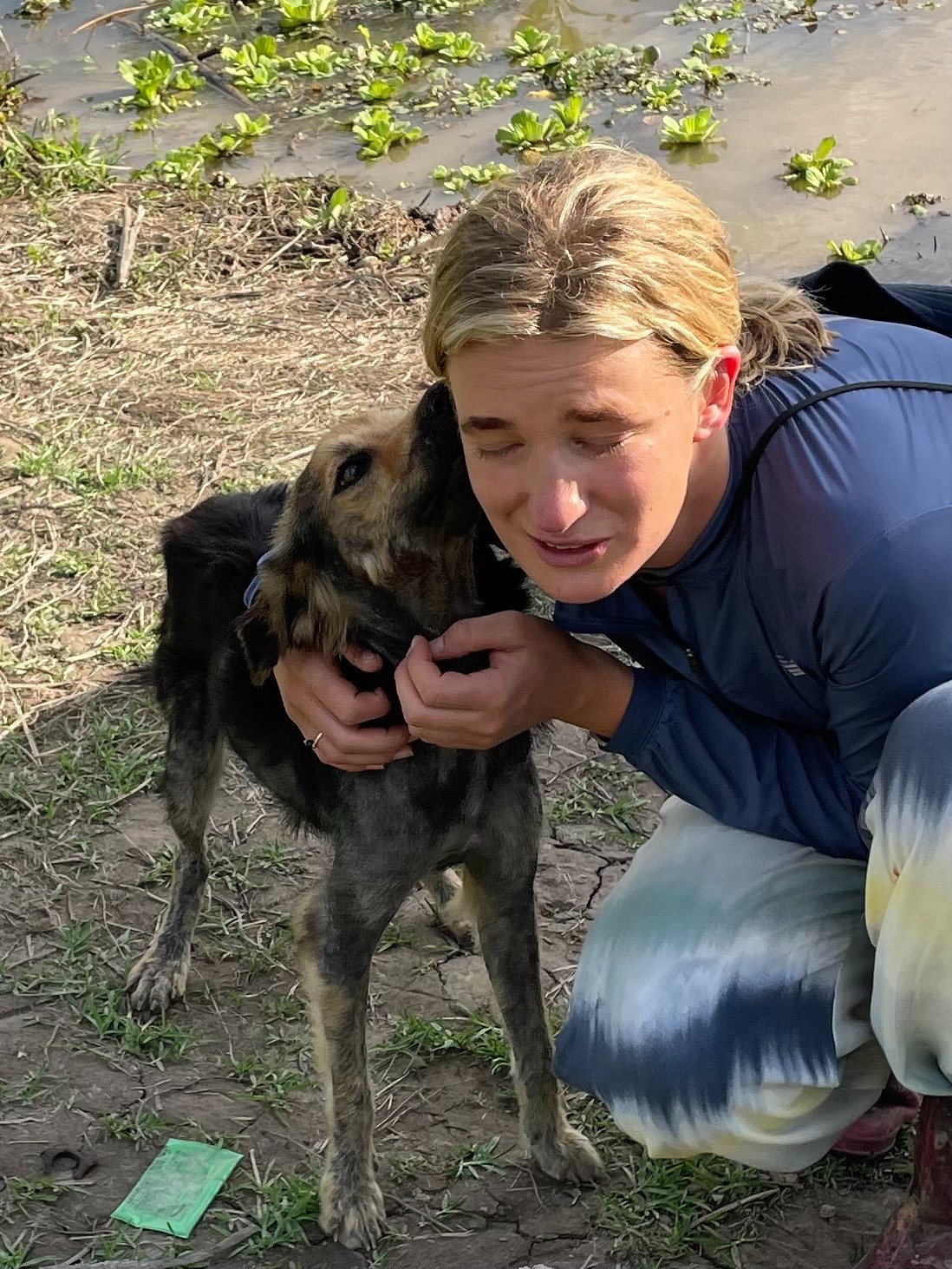 Help save starving and sick dogs of the Amazon jungle campaign photo, 4 of 8