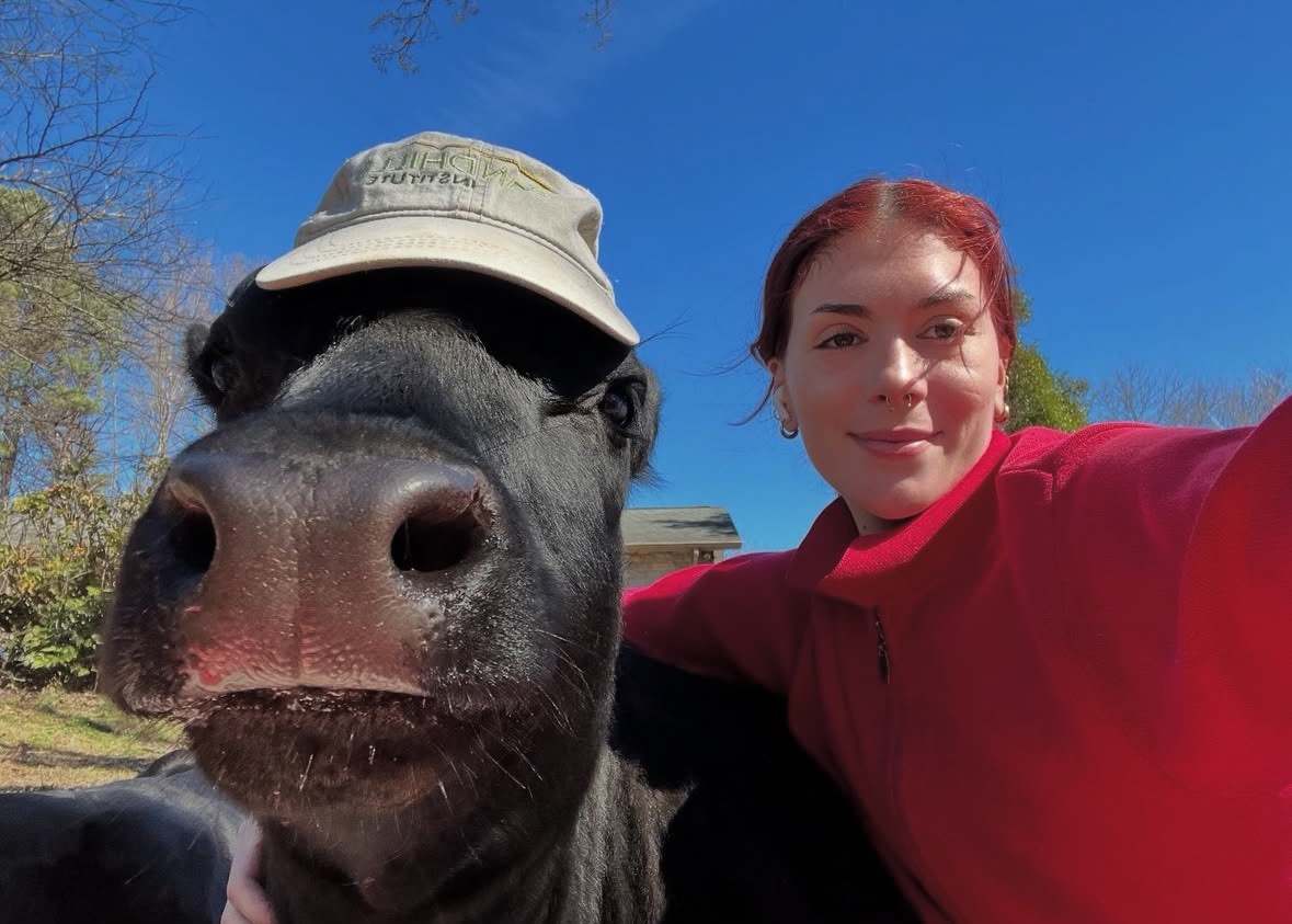 User-uploaded image 1