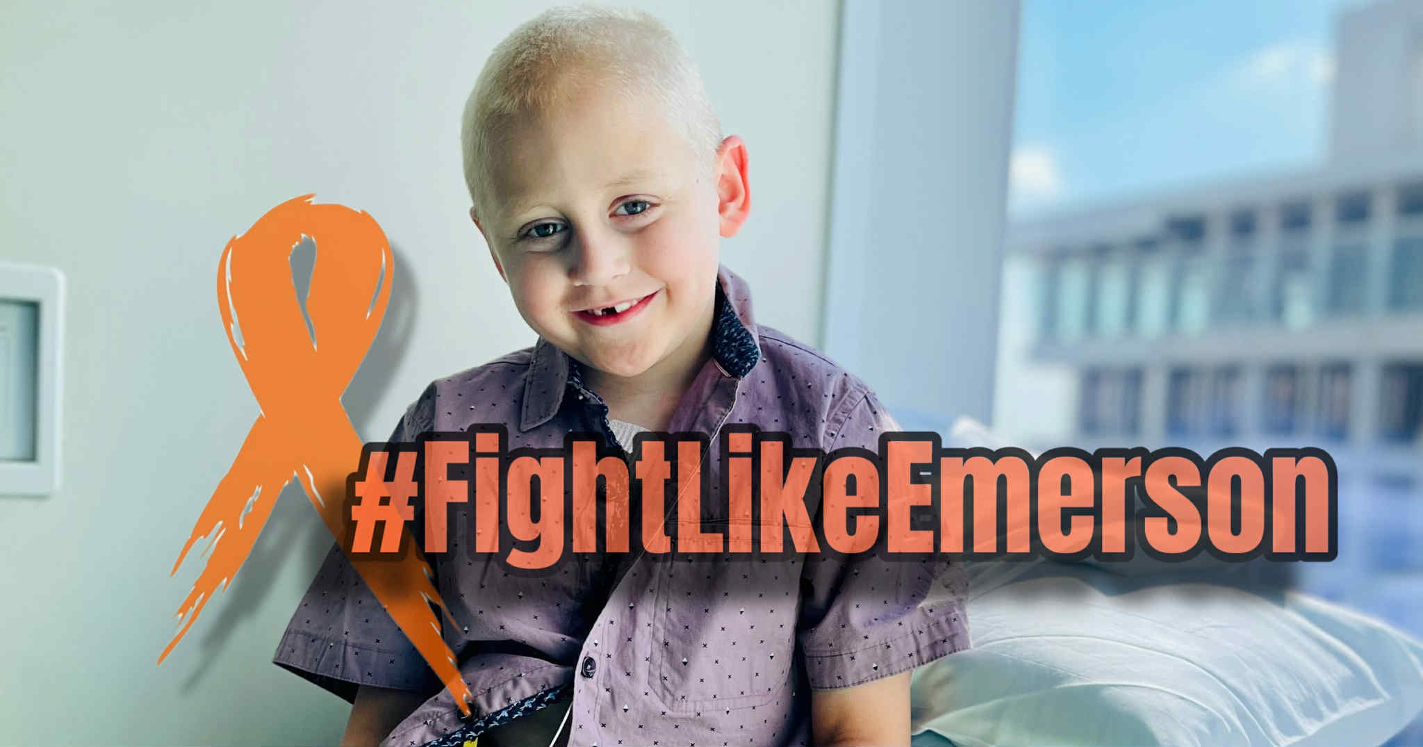 Foto van campagne Support Emerson's Fight Against B Cell Leukemia, 4 van 8