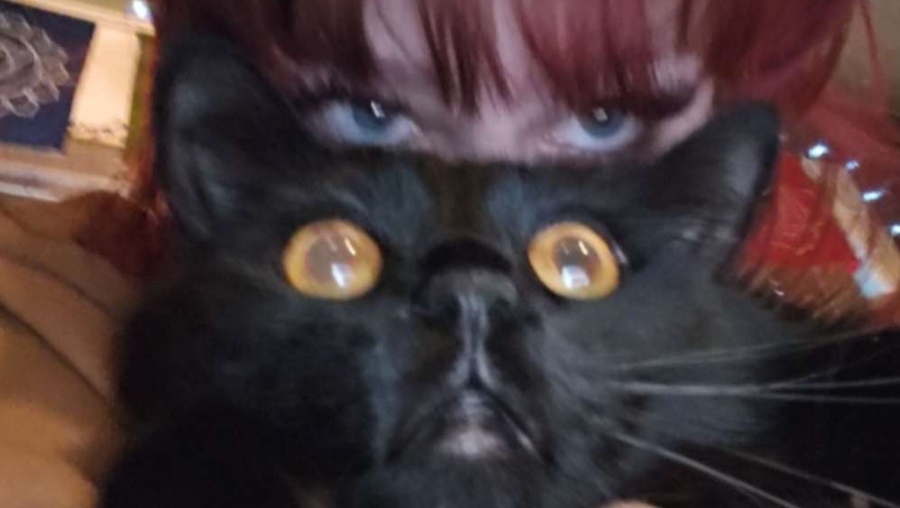 Fighting for My Belongings, My Cat, and a Fresh Start photo