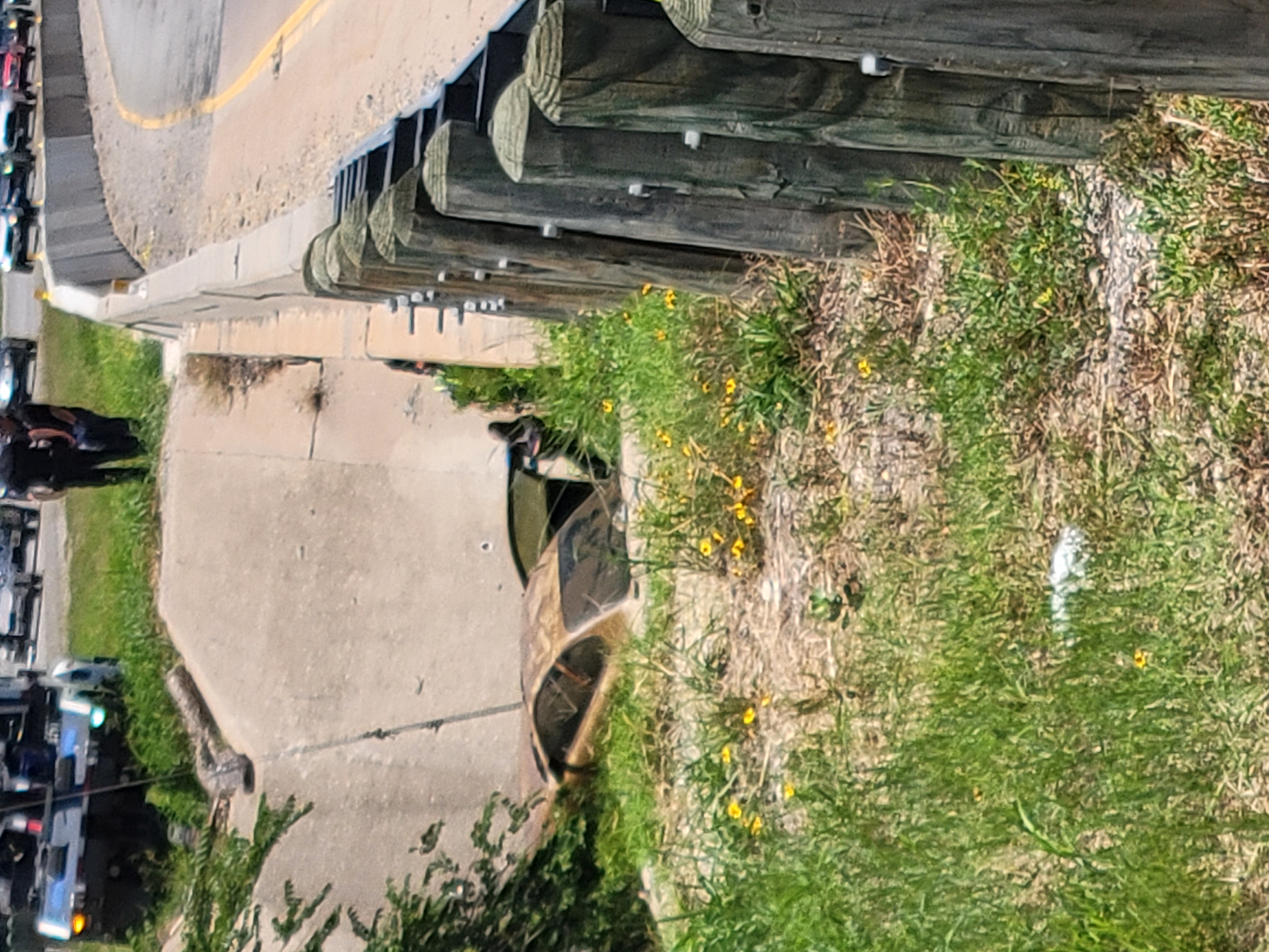 User-uploaded image 3