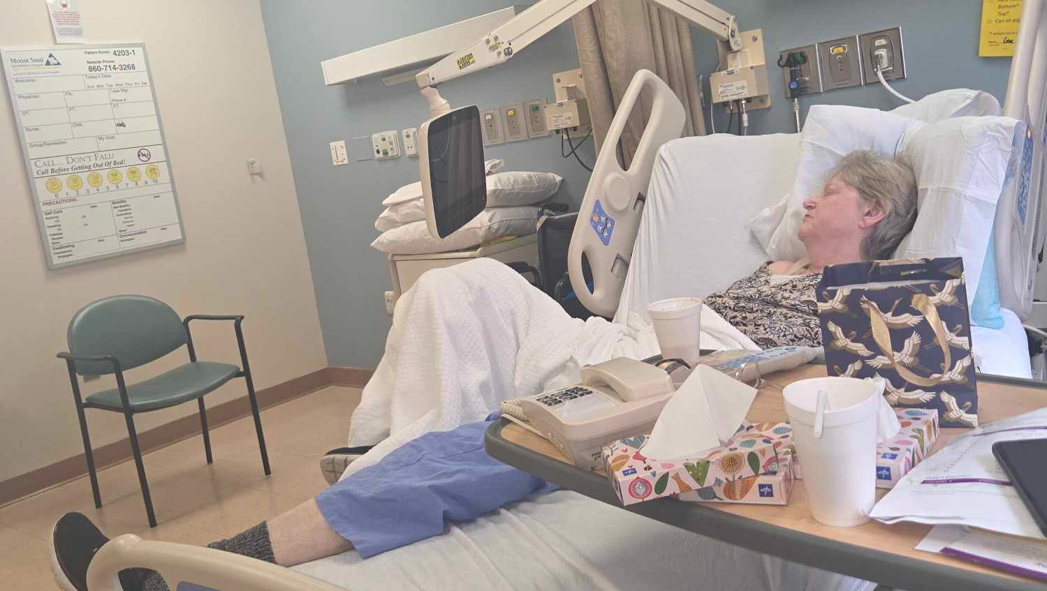 Fundraiser by Elizabeth Bisson : Donate for Rose's Cancer Treatment