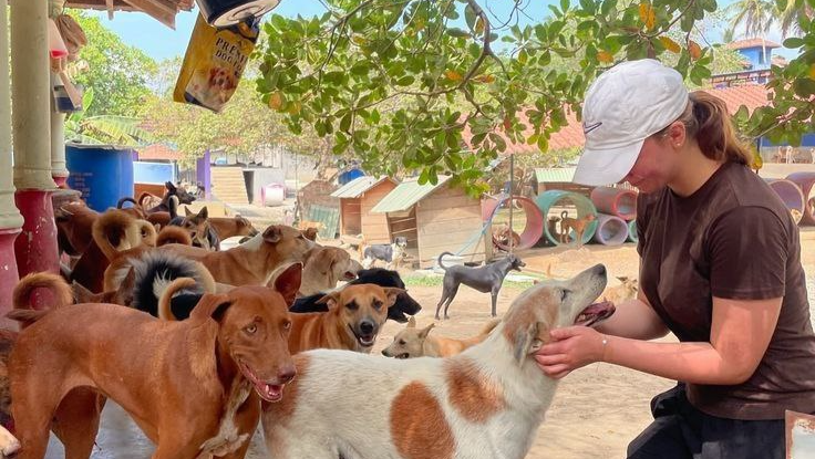 Sus Paticas Necesitan tu Apoyo photo