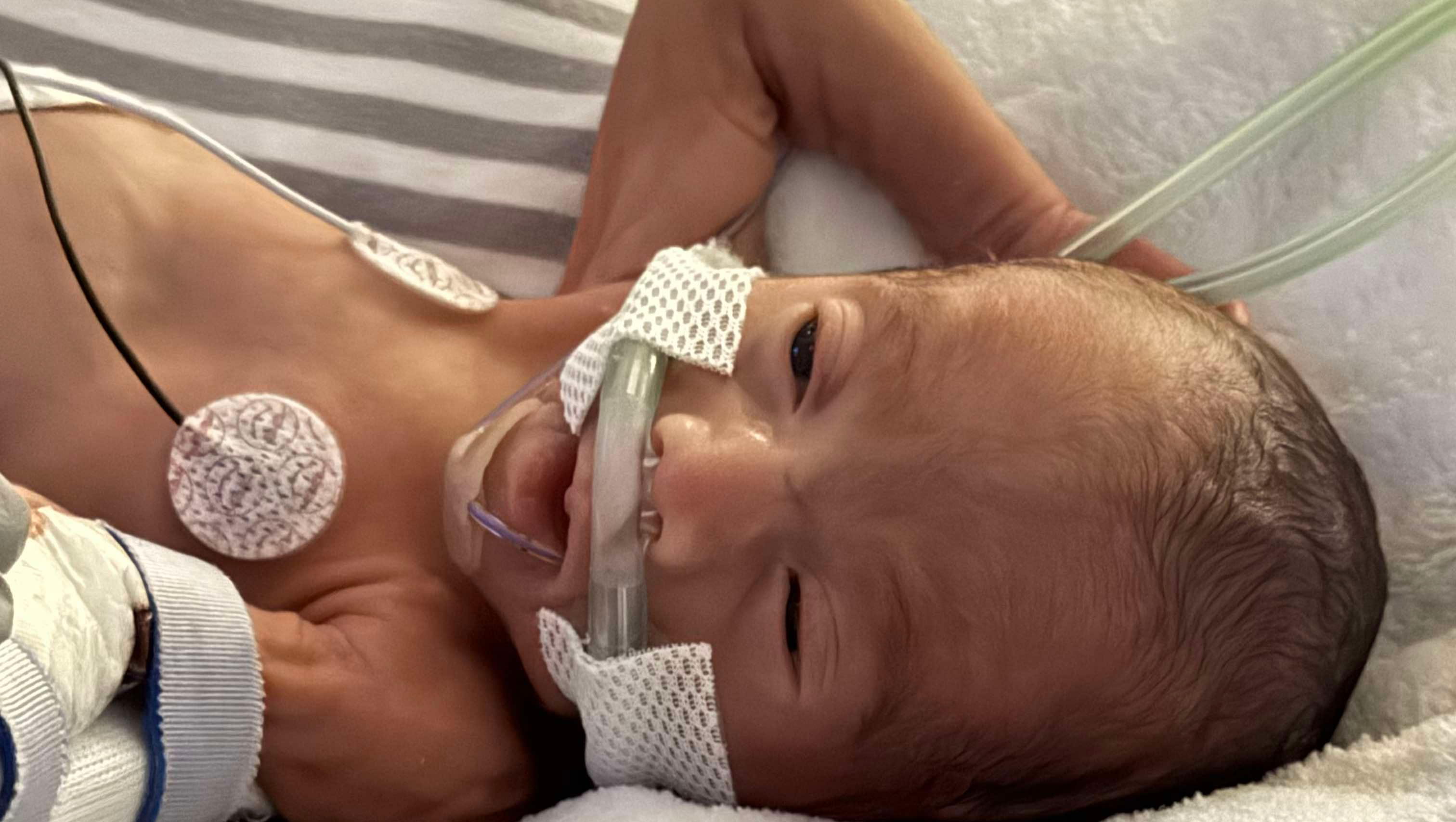 Support Sean Isaiah O'Connor's NICU Journey photo