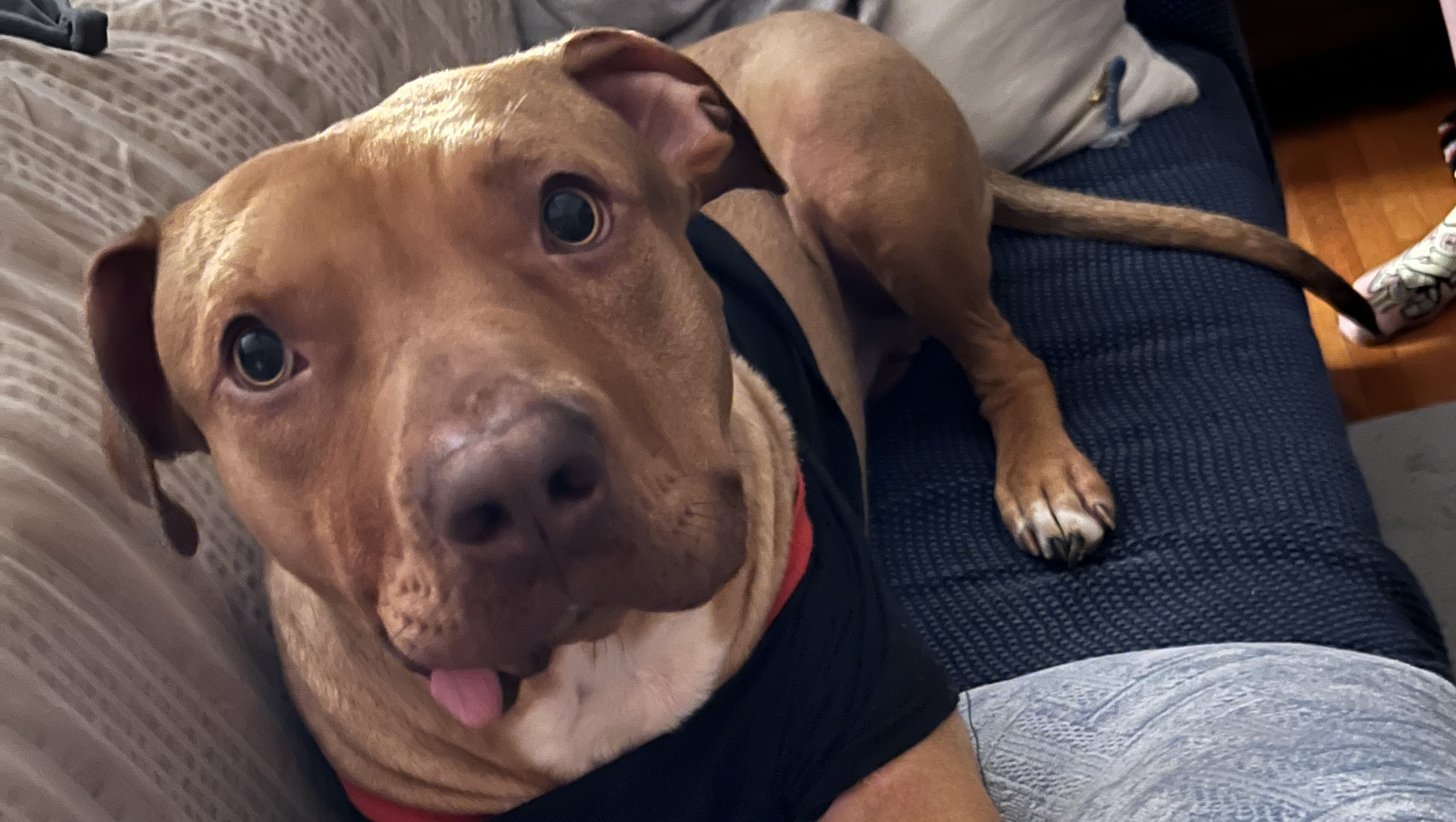 Gummy Bears Mouth Surgery photo